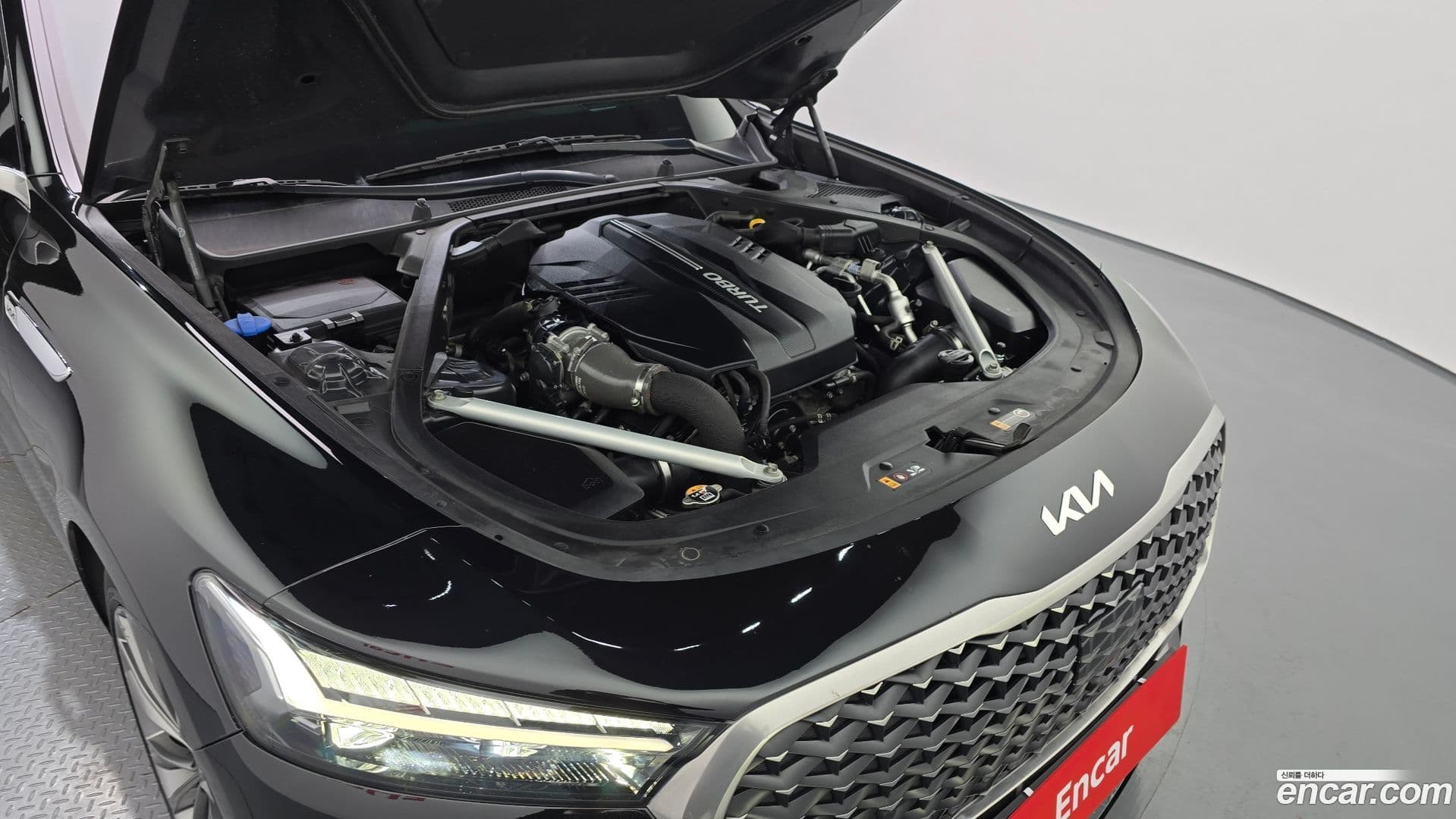 Main__Slider__Photo:K9 Kia 2022.9-5