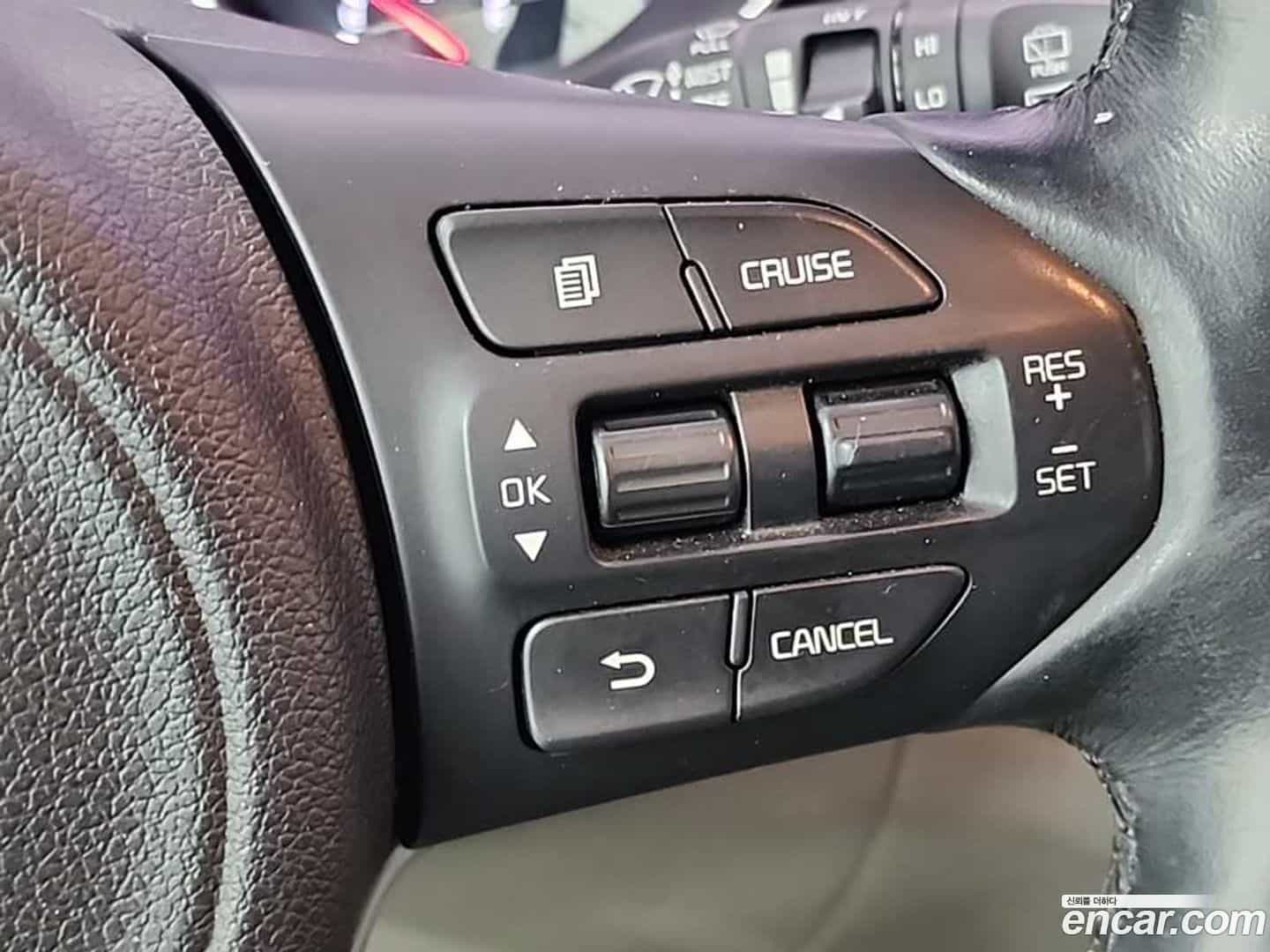 Canival Kia 2017.11-OPTION-021