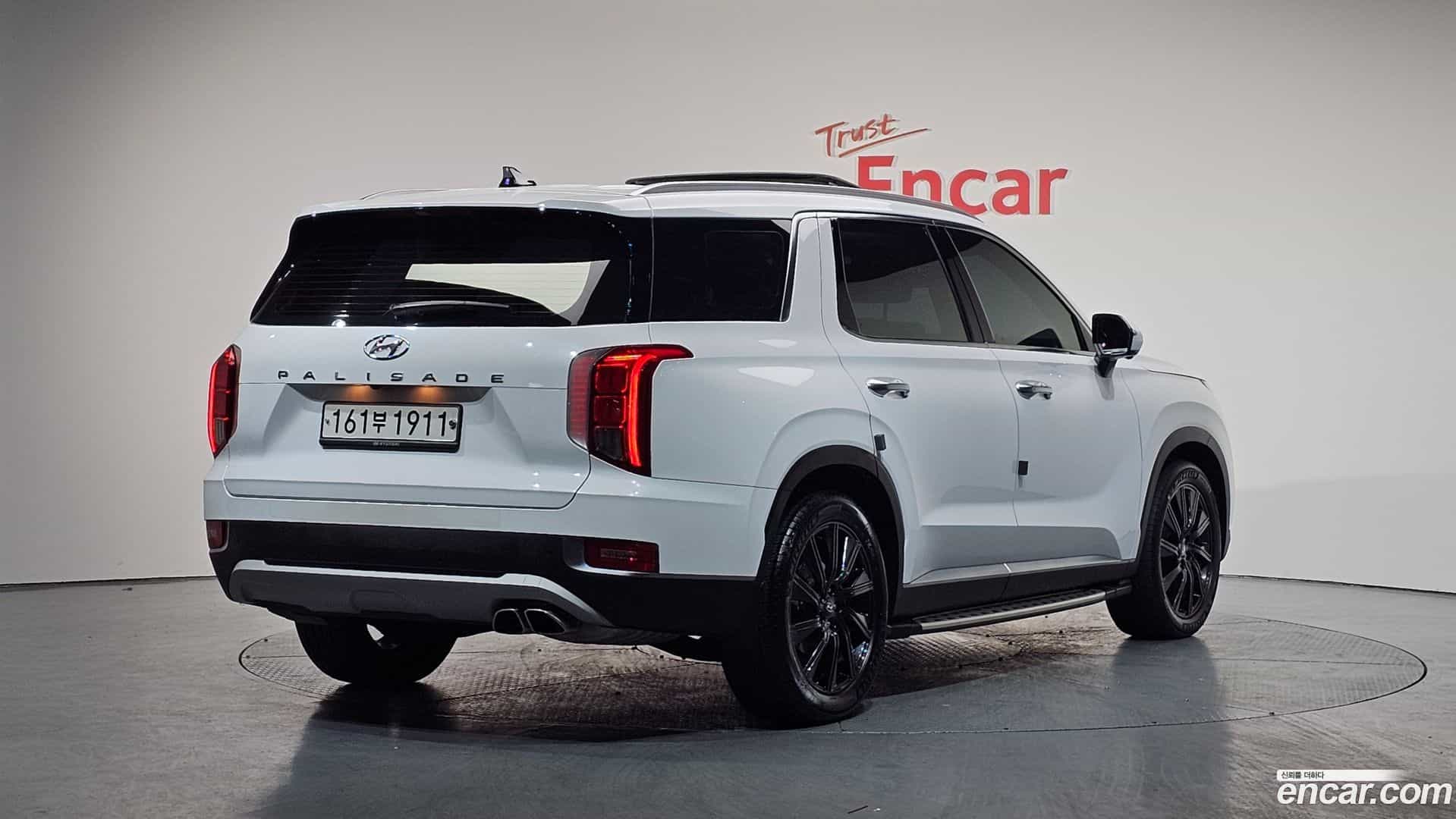 Palisade Hyundai 2020.5-OUTER-002