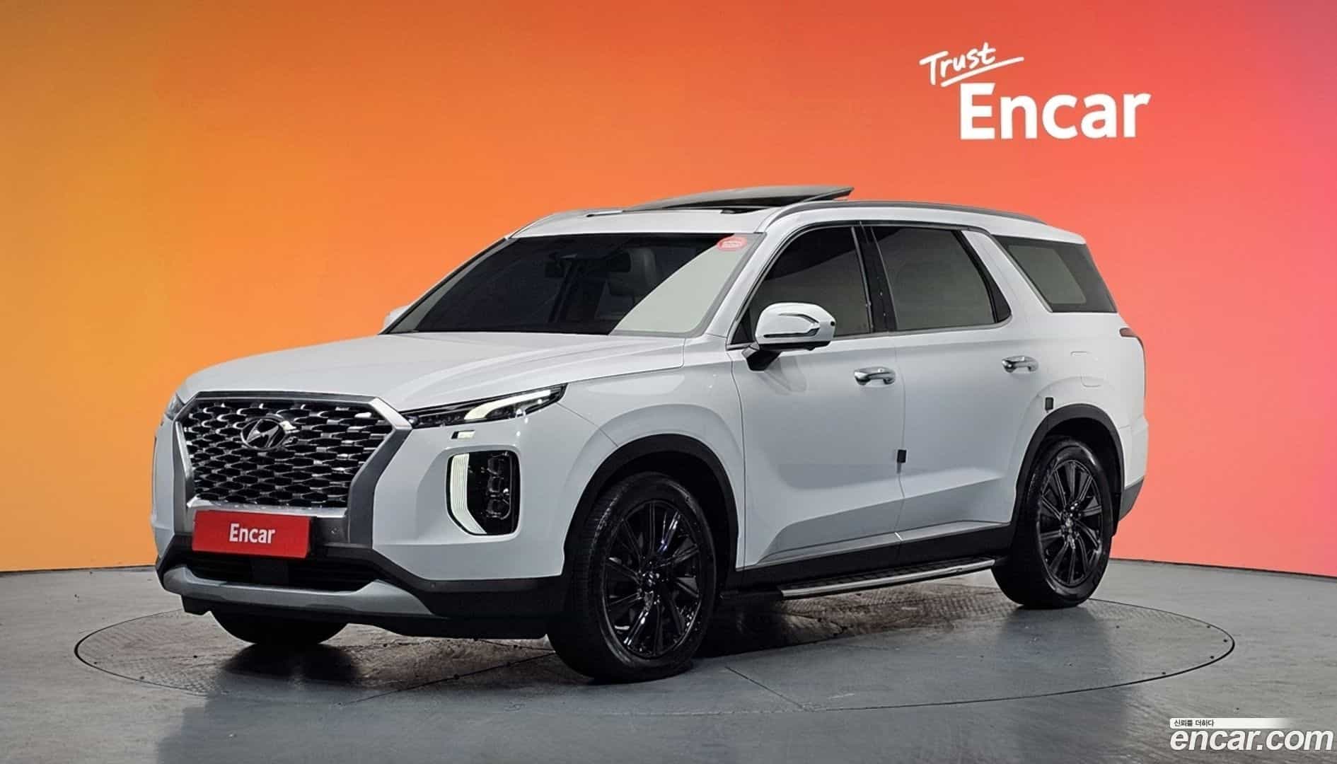 Palisade Hyundai 2020.5-DIAG2-001