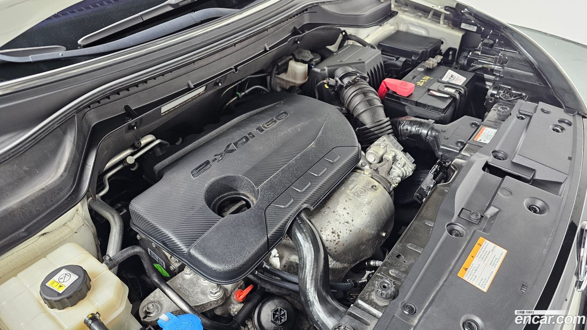 Main__Slider__Photo:TIBOLI KG Mobility 2018.2-5