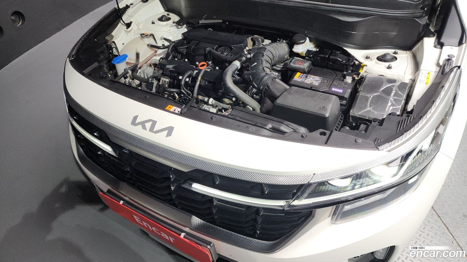 Main__Slider__Photo:Seltos Kia 2023.8-5