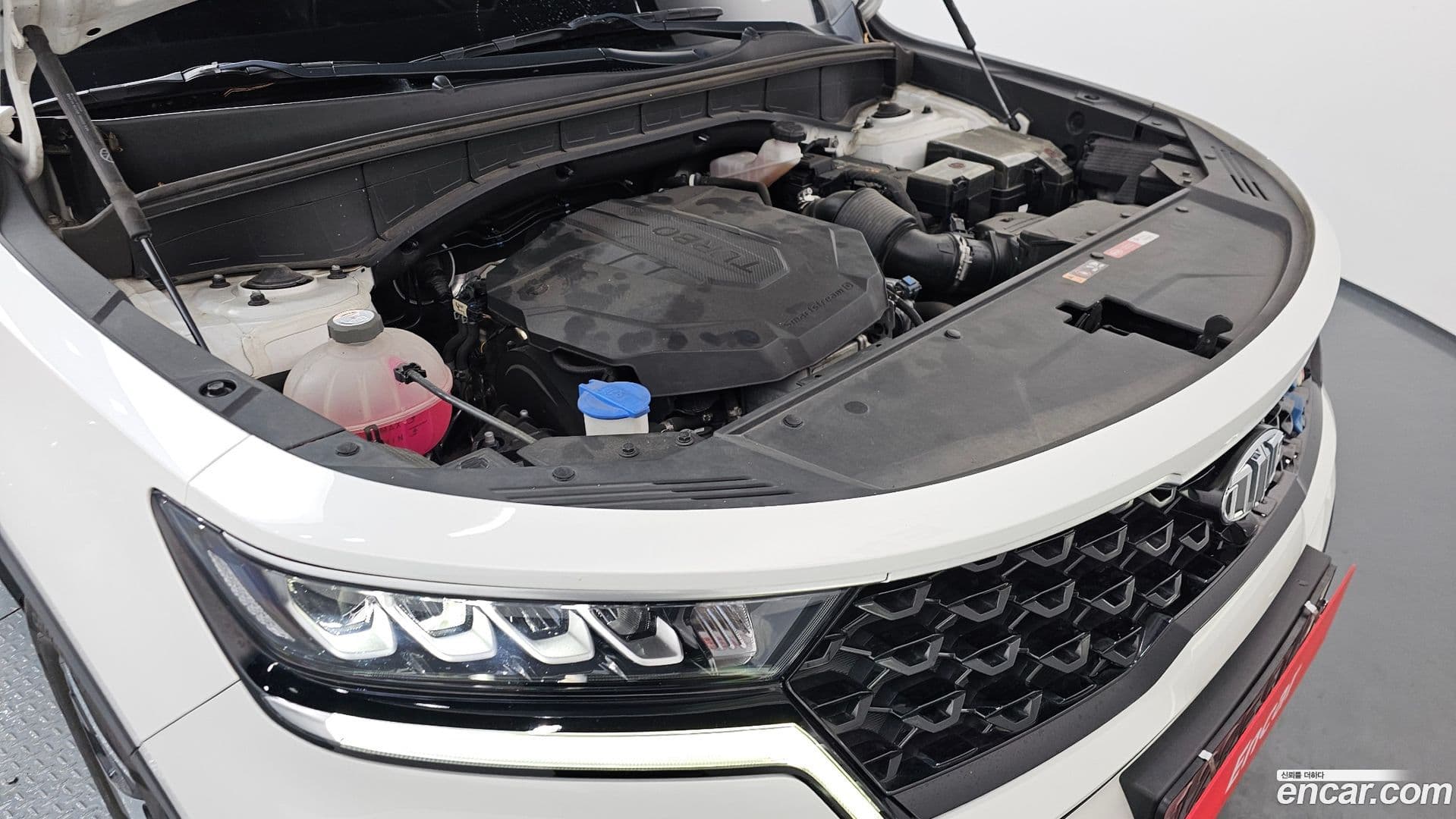 Main__Slider__Photo:Sorento Kia 2020.10-5