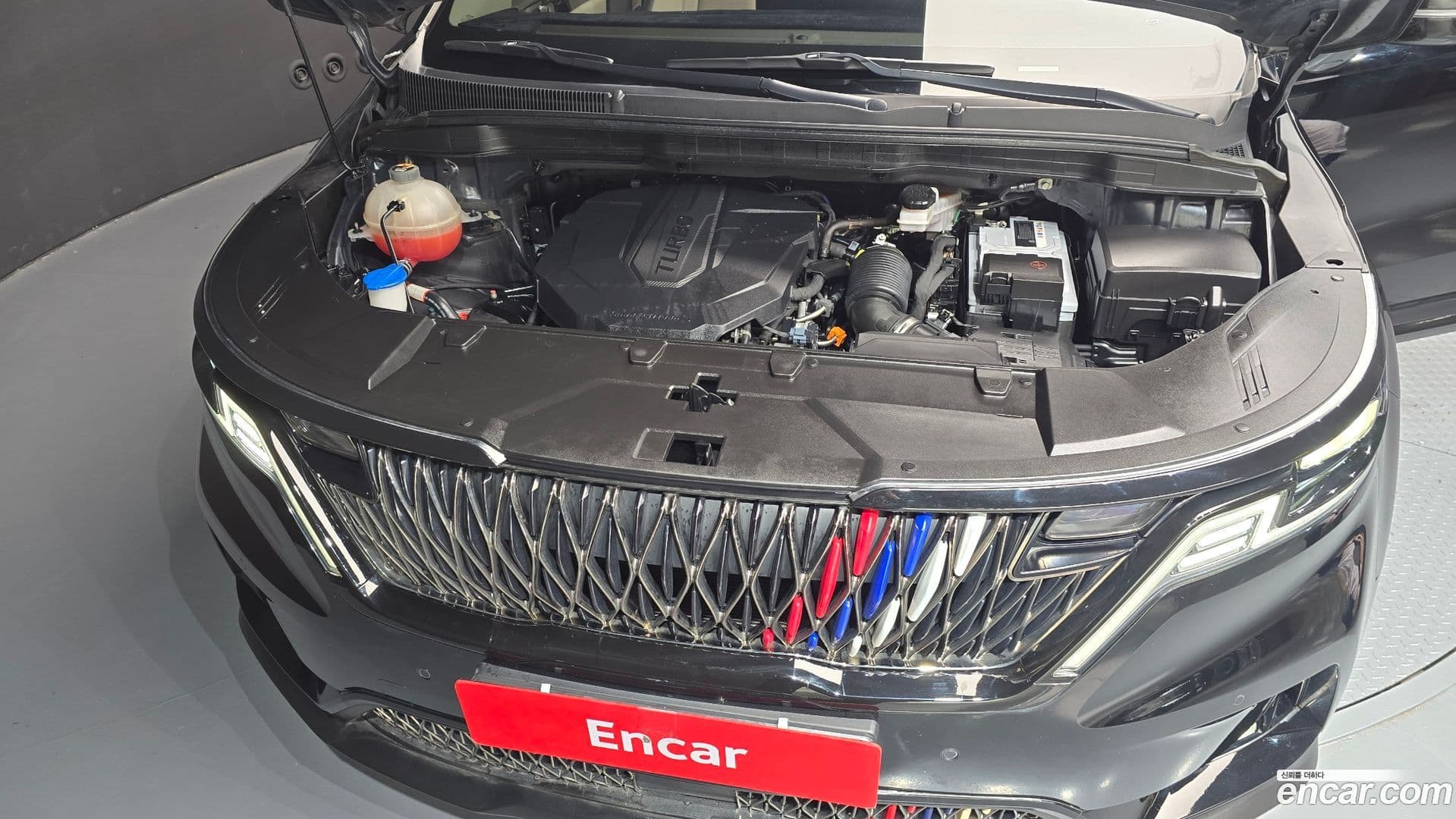 Main__Slider__Photo:Canival Kia 2020.8-5