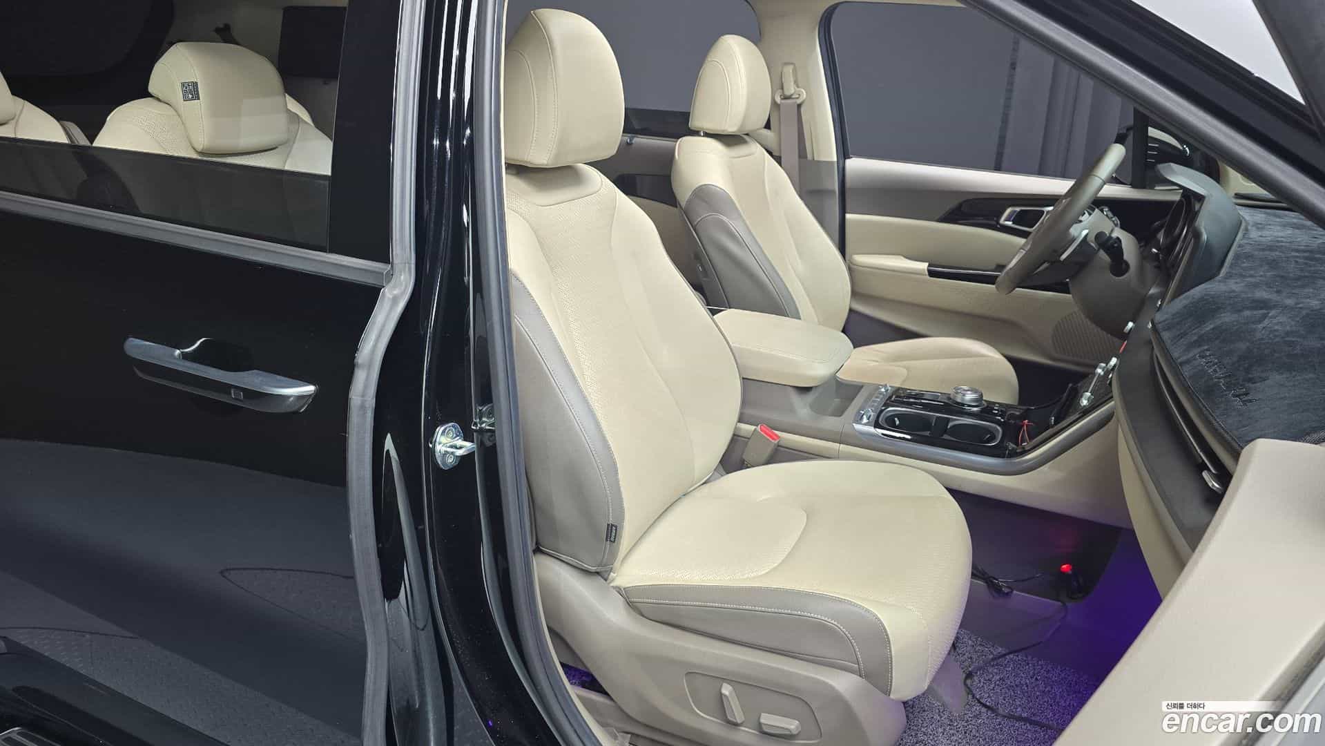 Canival Kia 2020.8-OPTION-016