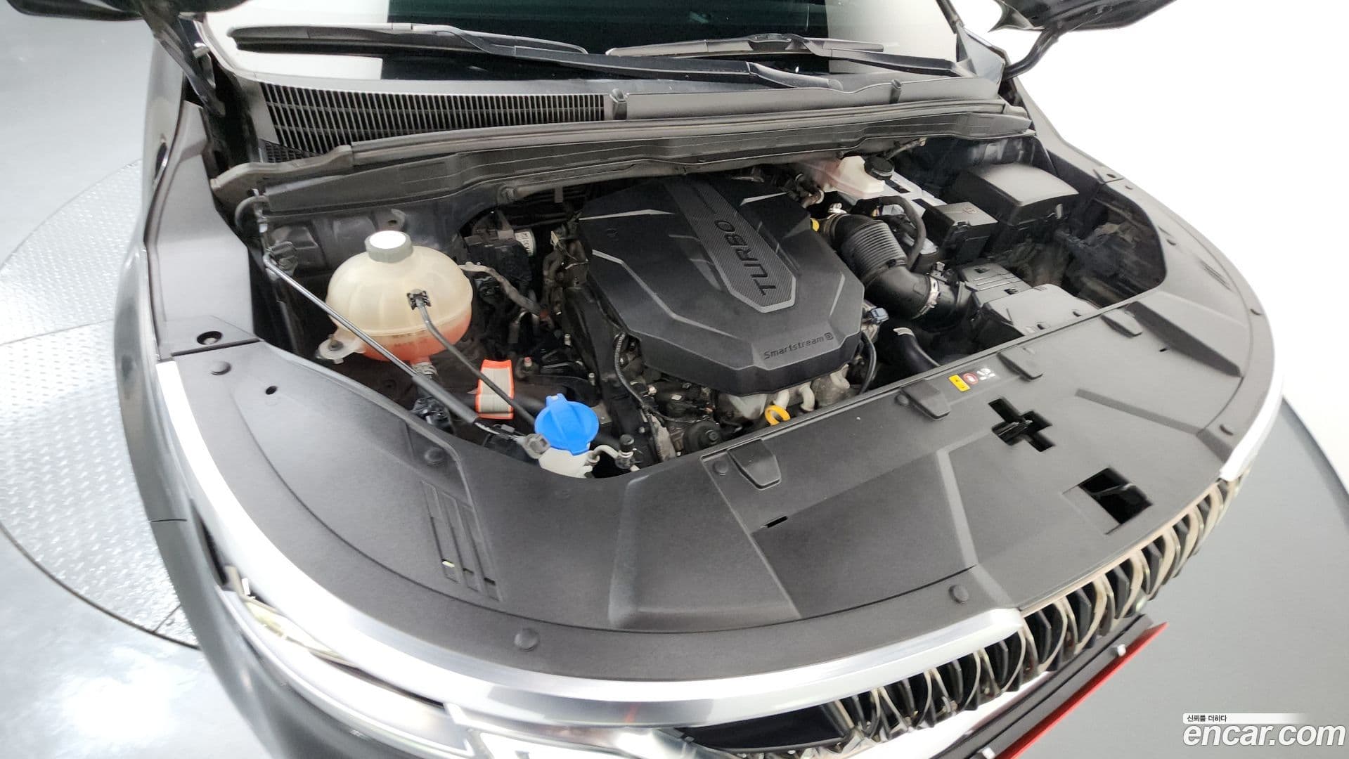 Main__Slider__Photo:Canival Kia 2020.7-5