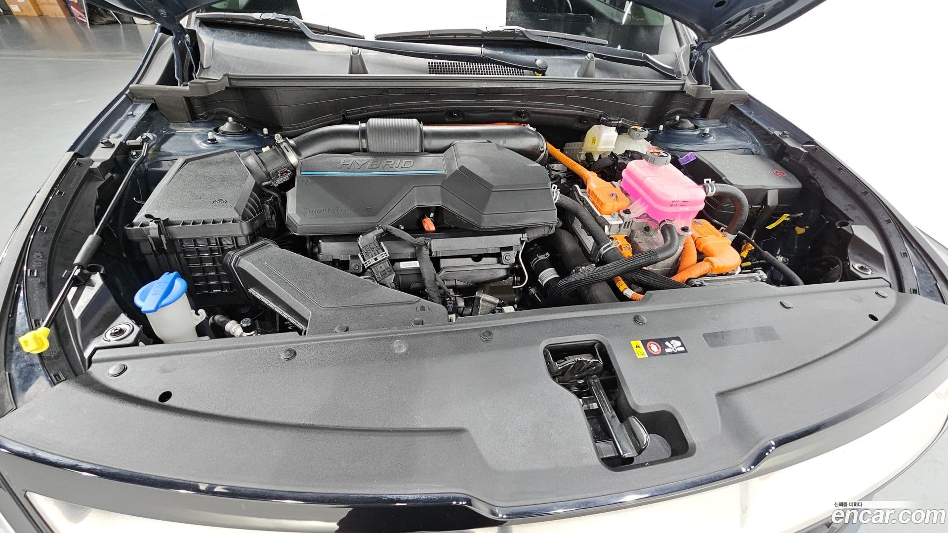 Main__Slider__Photo:Sportage Kia 2021.11-5