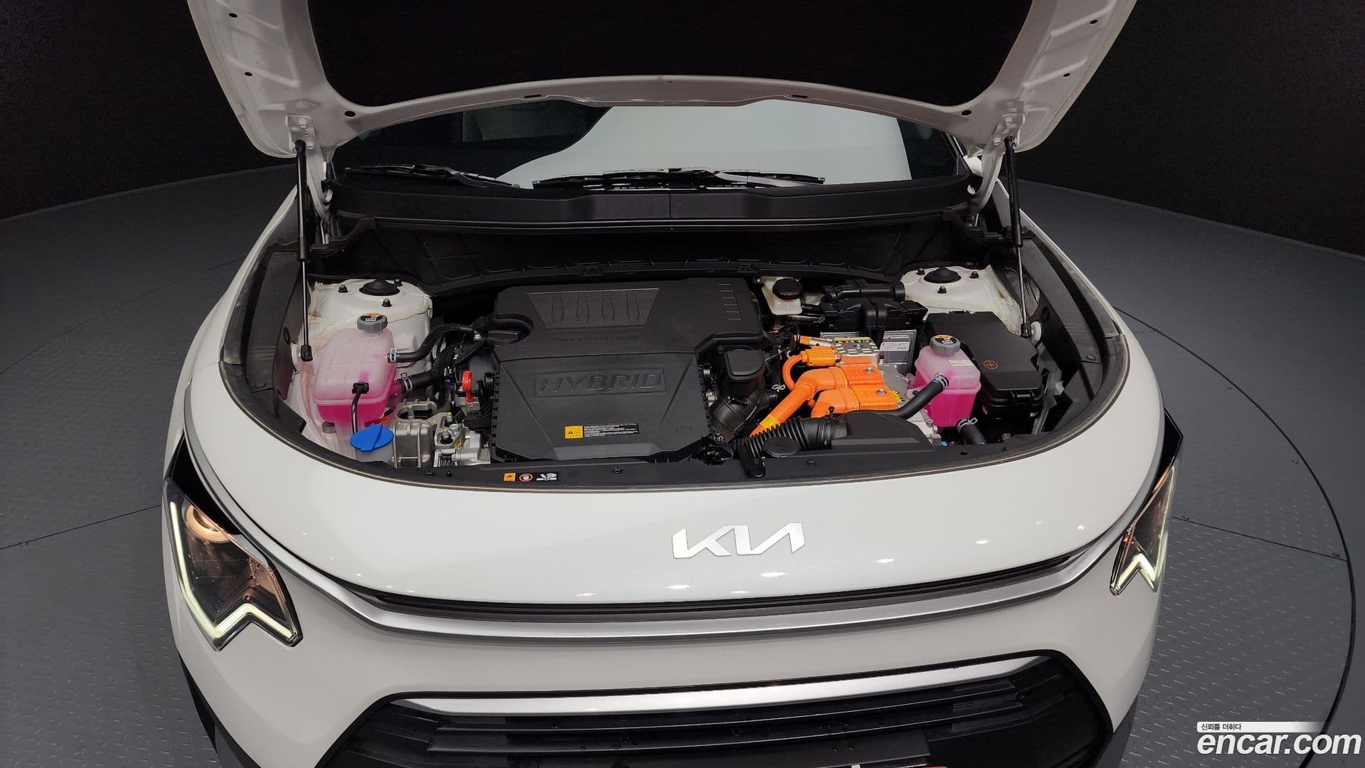 Main__Slider__Photo:Niro Kia 2025.4-5