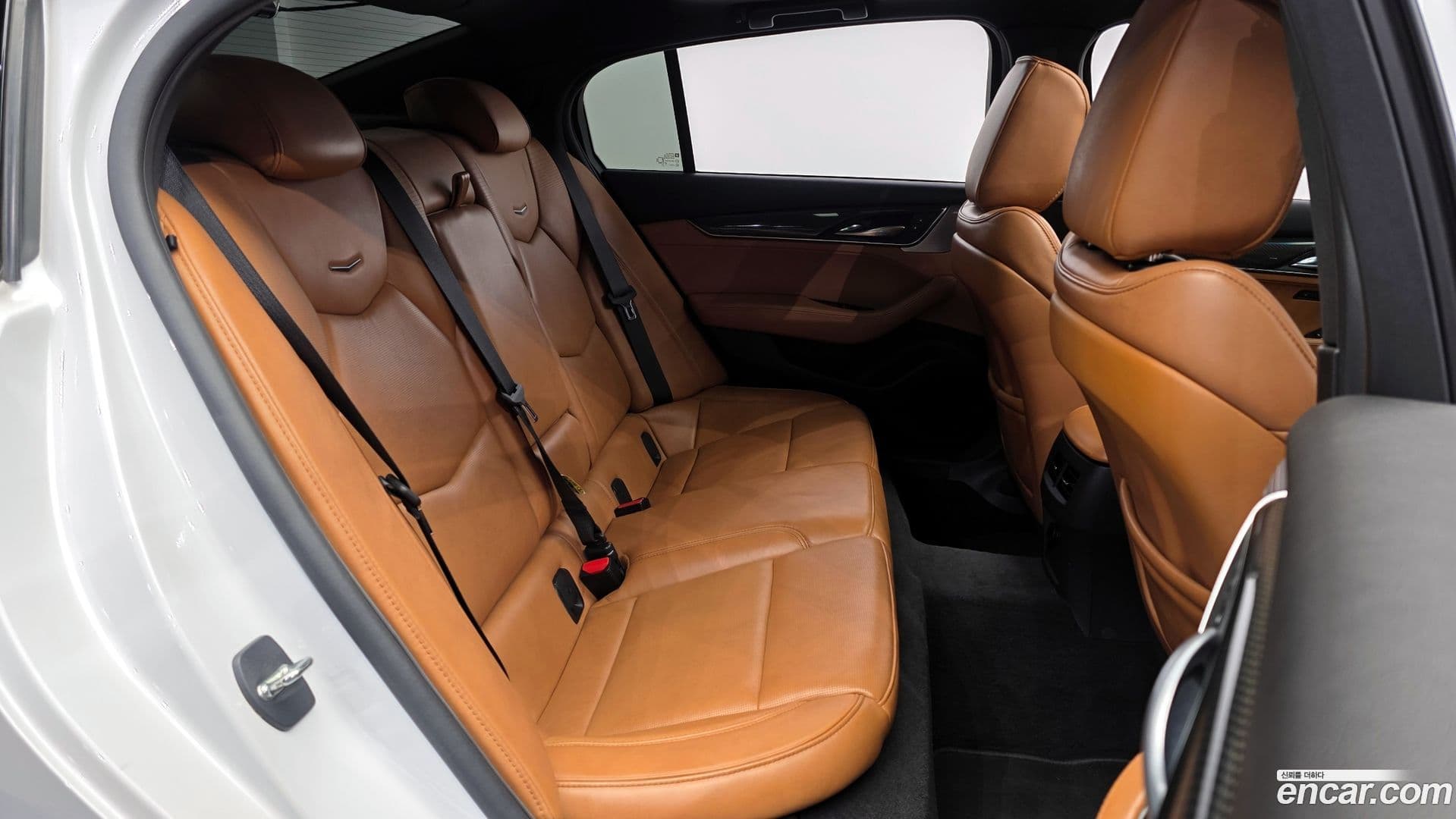 Main__Slider__Photo:CT5 Cadillac 2020.9-11