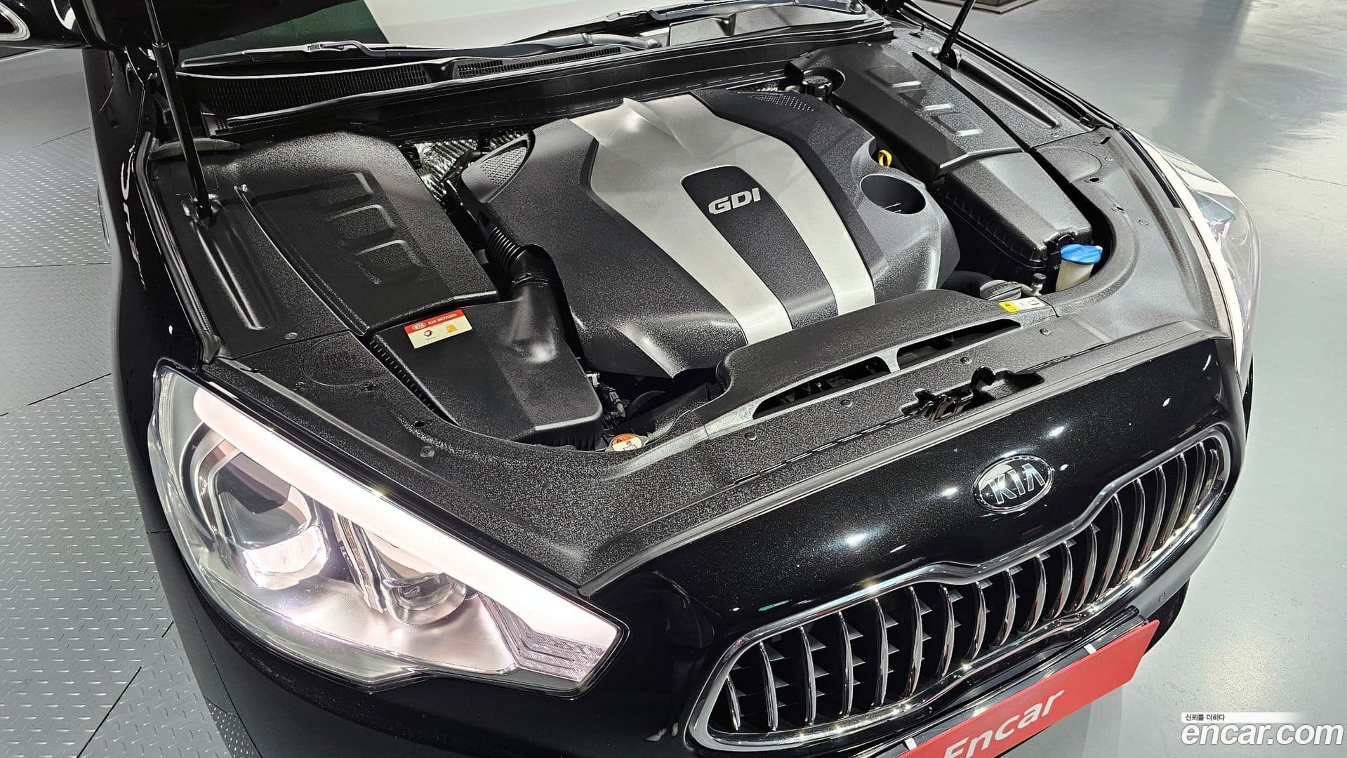 Main__Slider__Photo:K9 Kia 2013.7-5