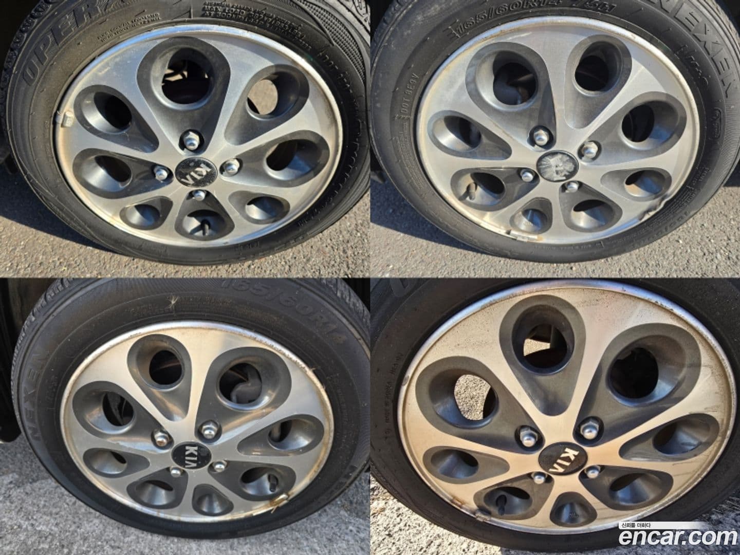 Main__Slider__Photo:morning Kia 2011.3-18