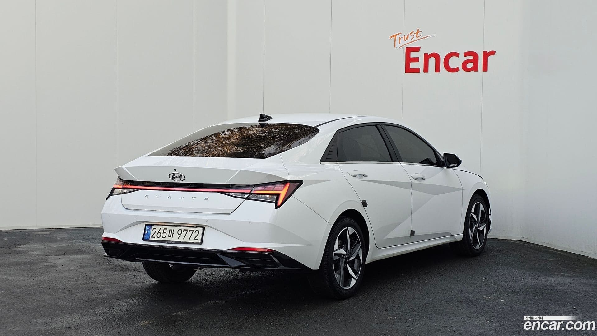 Main__Slider__Photo:AVANTE Hyundai 2020.8-1