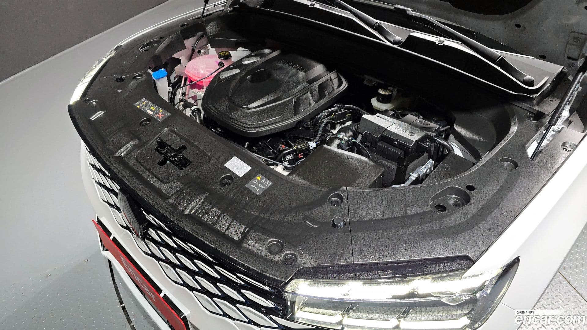 Main__Slider__Photo:Grand Koleos Renault-KoreaSamsung 2025.10-5