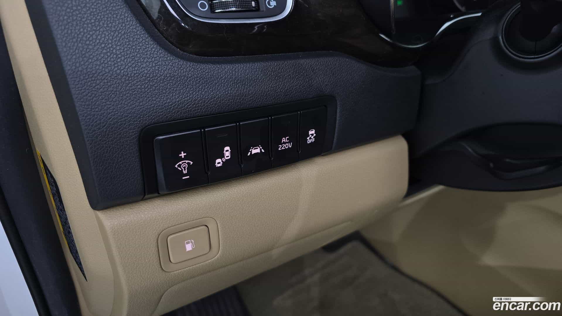 Canival Kia 2020.5-OPTION-021