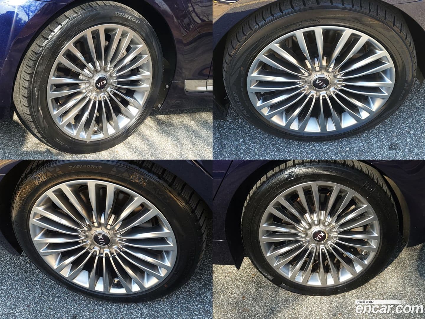 Main__Slider__Photo:K9 Kia 2019.3-19