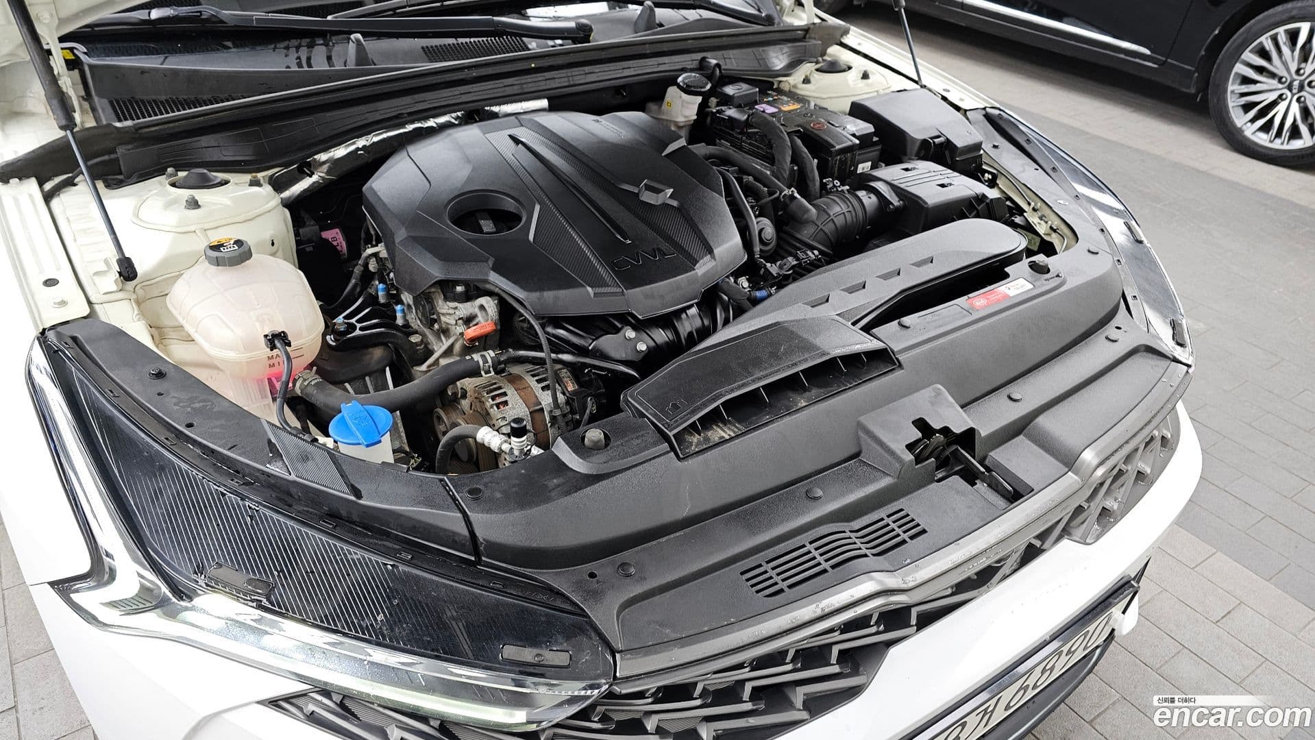 Main__Slider__Photo:K5 Kia 2020.11-5