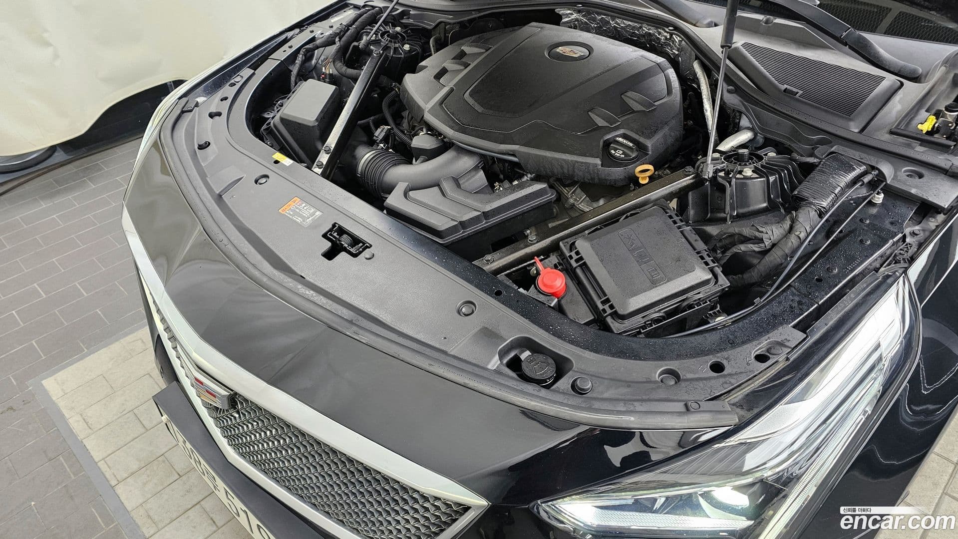 Main__Slider__Photo:CT6 Cadillac 2019.11-5