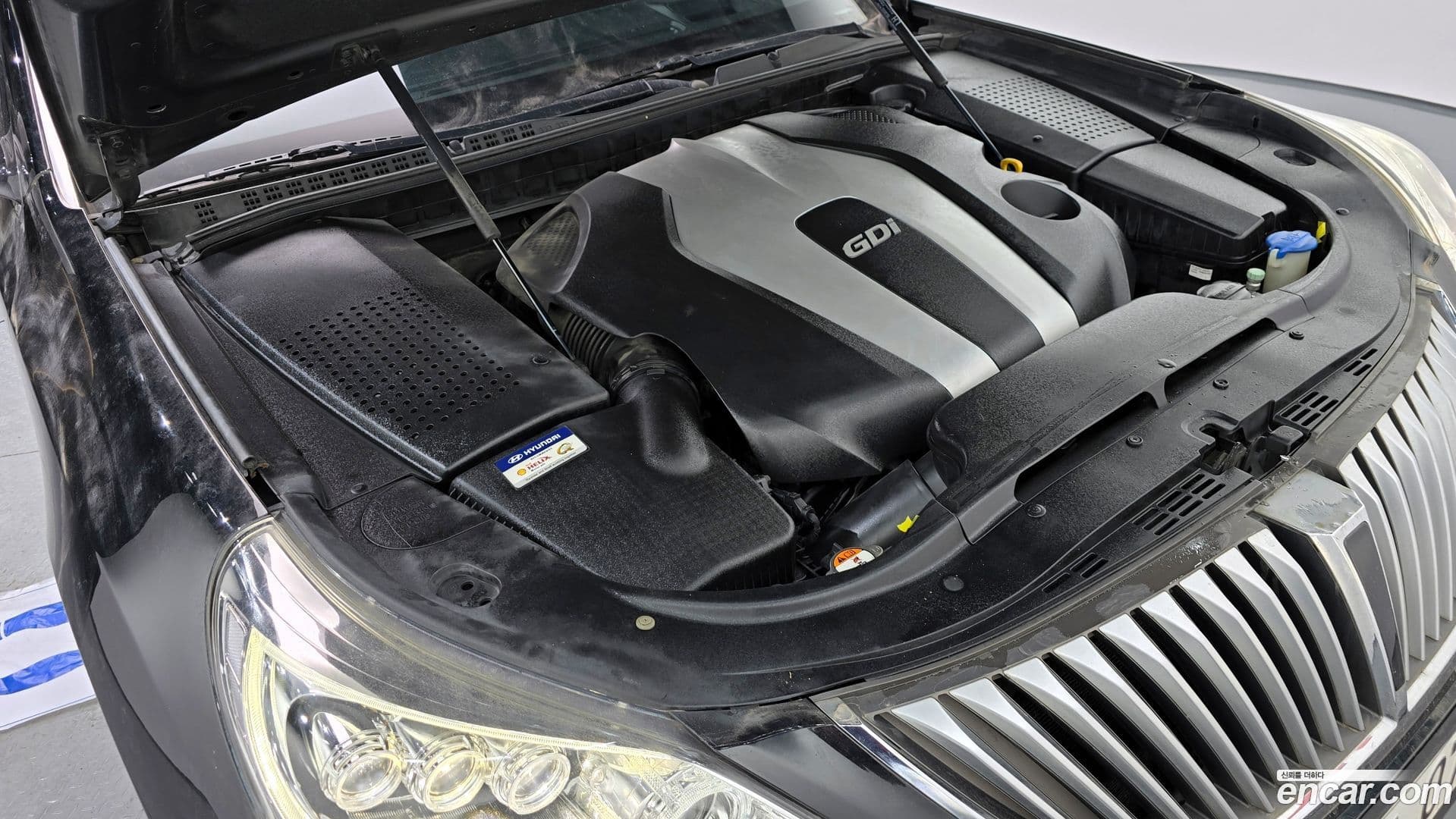 Main__Slider__Photo:Equus Hyundai 2015.7-5