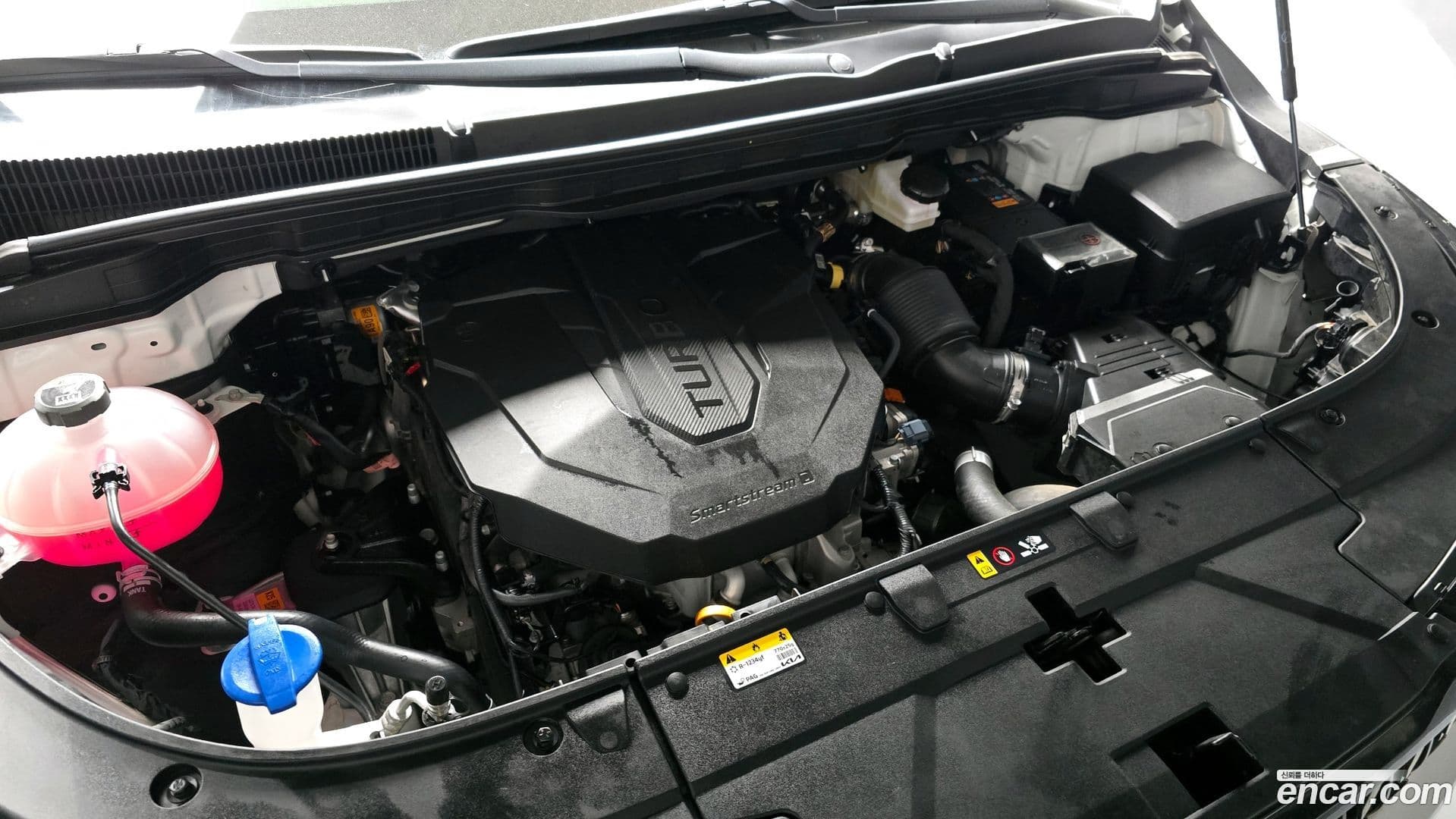 Main__Slider__Photo:Canival Kia 2024.2-5