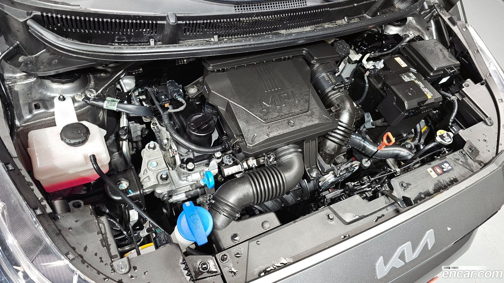 Main__Slider__Photo:morning Kia 2023.6-5