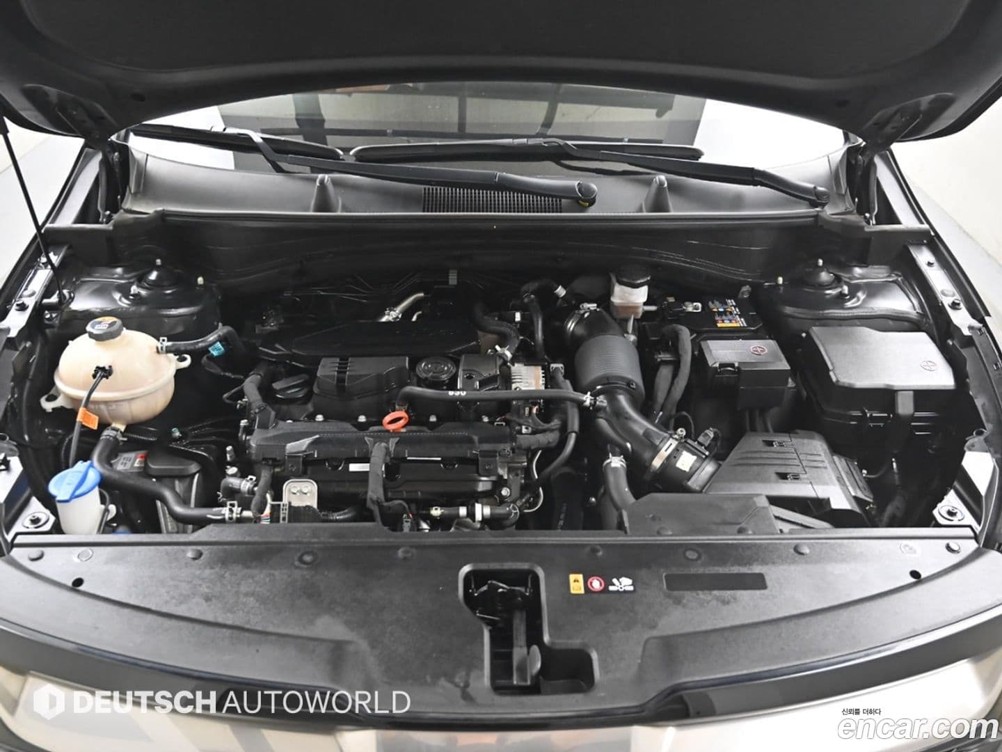 Main__Slider__Photo:Sportage Kia 2022.2-5