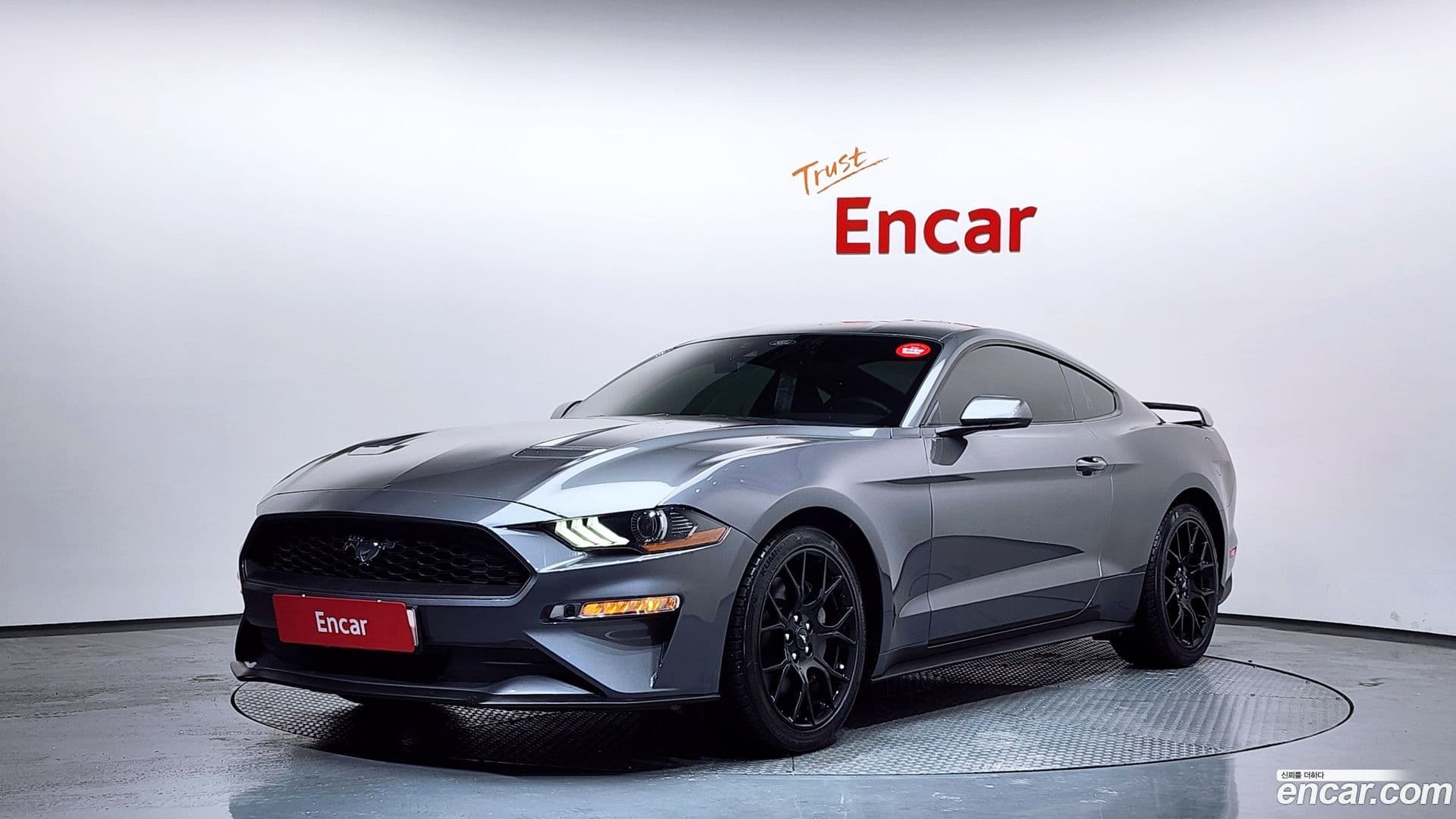 Main__Slider__Photo:Mustang Ford 2021.11-0