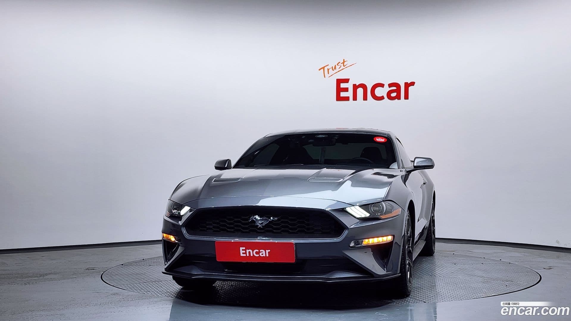 Main__Slider__Photo:Mustang Ford 2021.11-2