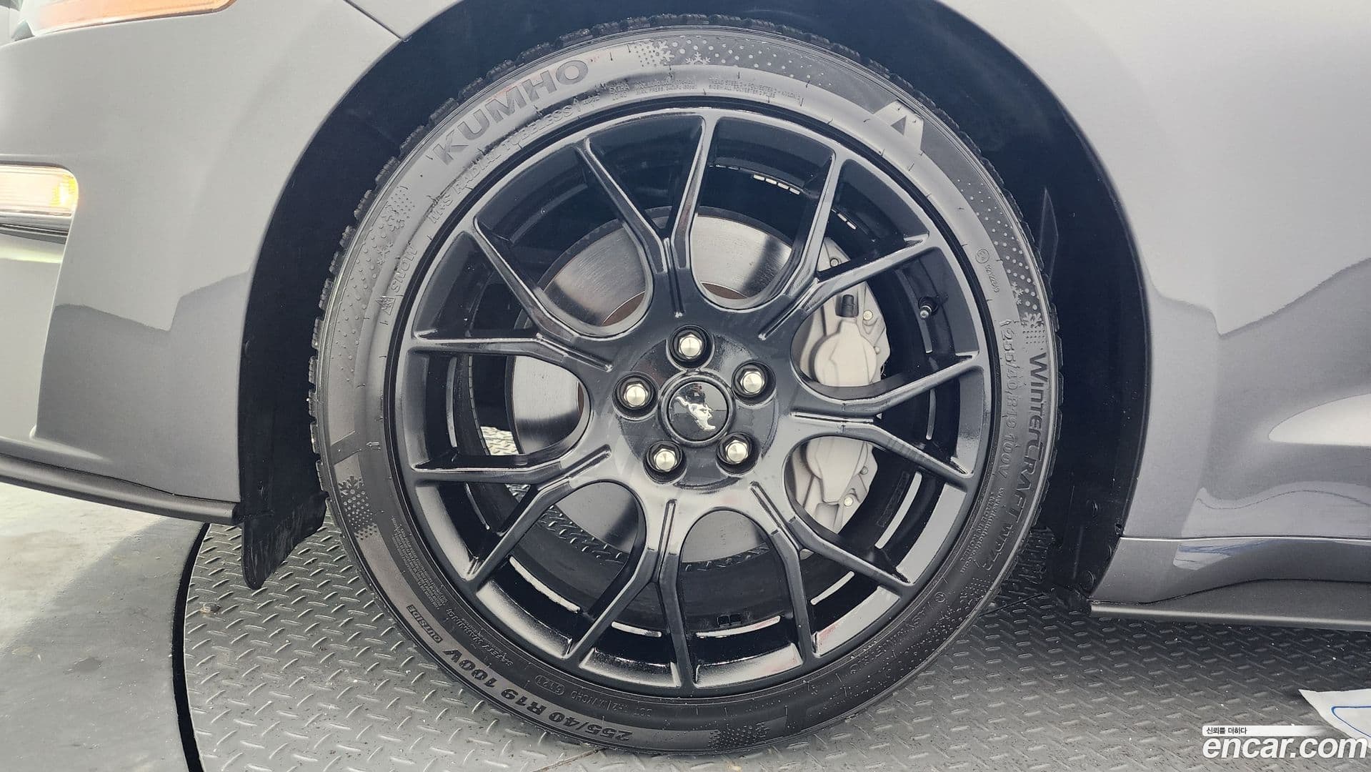 Main__Slider__Photo:Mustang Ford 2021.11-4