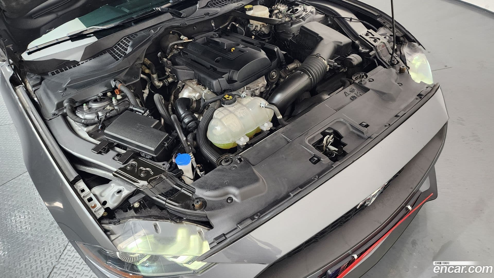 Main__Slider__Photo:Mustang Ford 2021.11-5