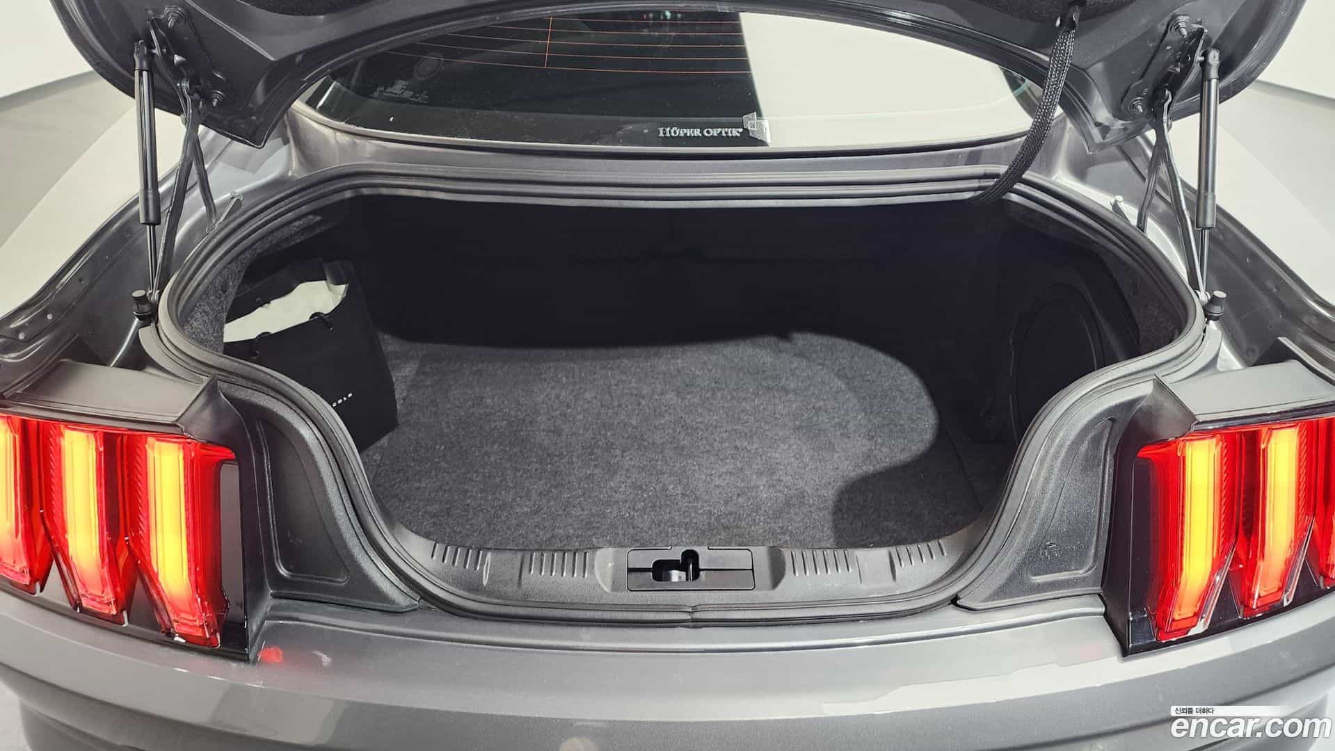 Mustang Ford 2021.11-OPTION-024