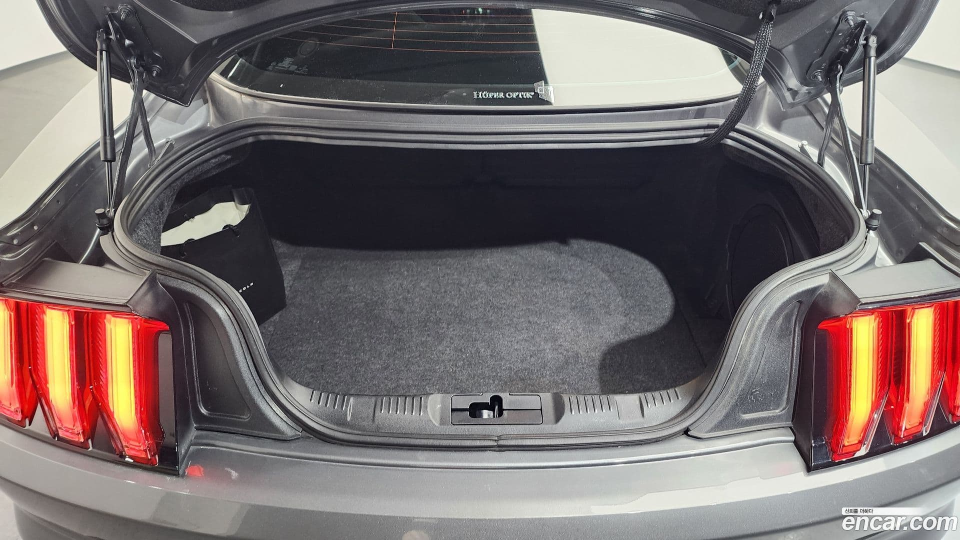 Main__Slider__Photo:Mustang Ford 2021.11-19