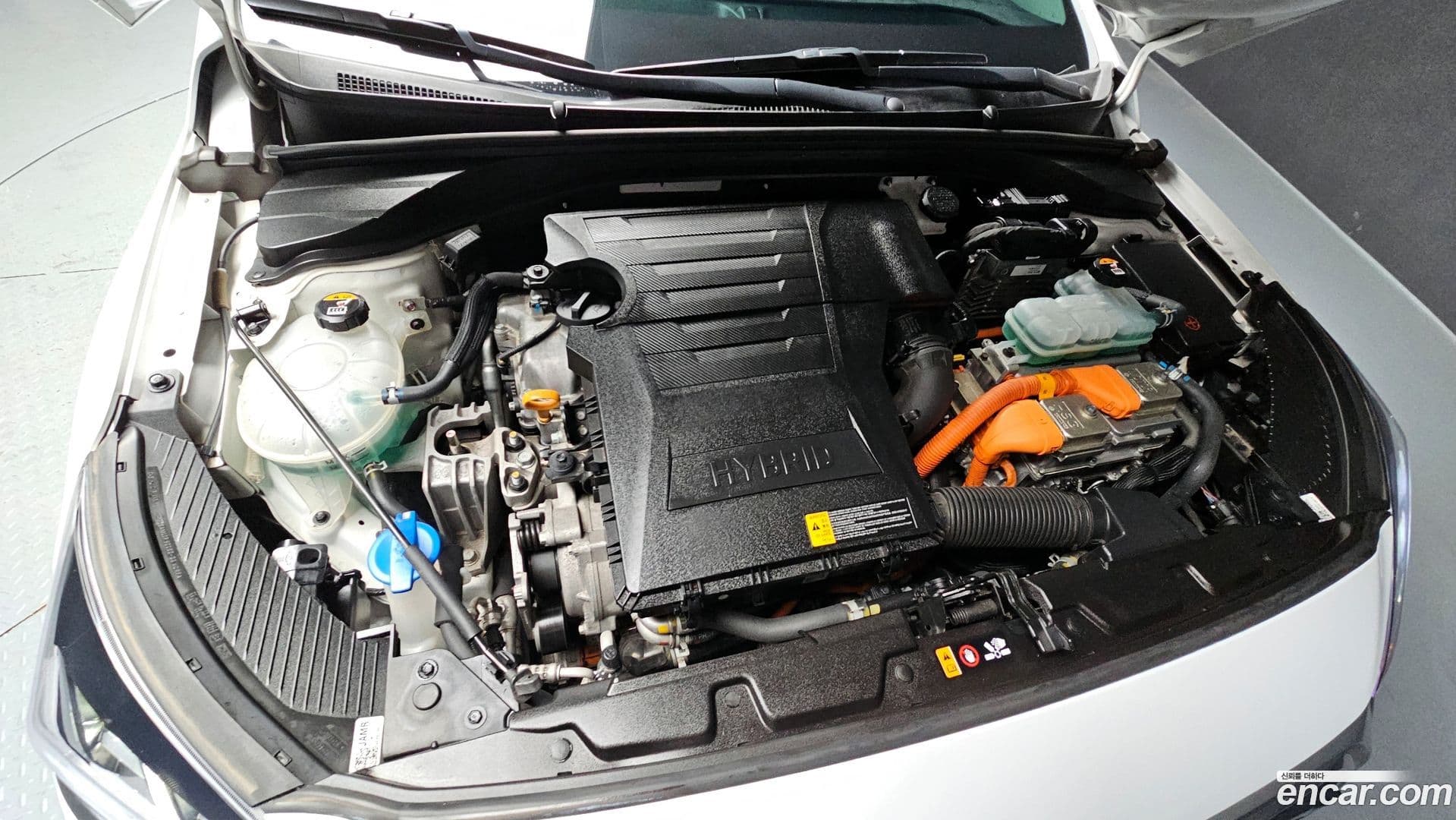 Main__Slider__Photo:Ioniq Hyundai 2020.7-5