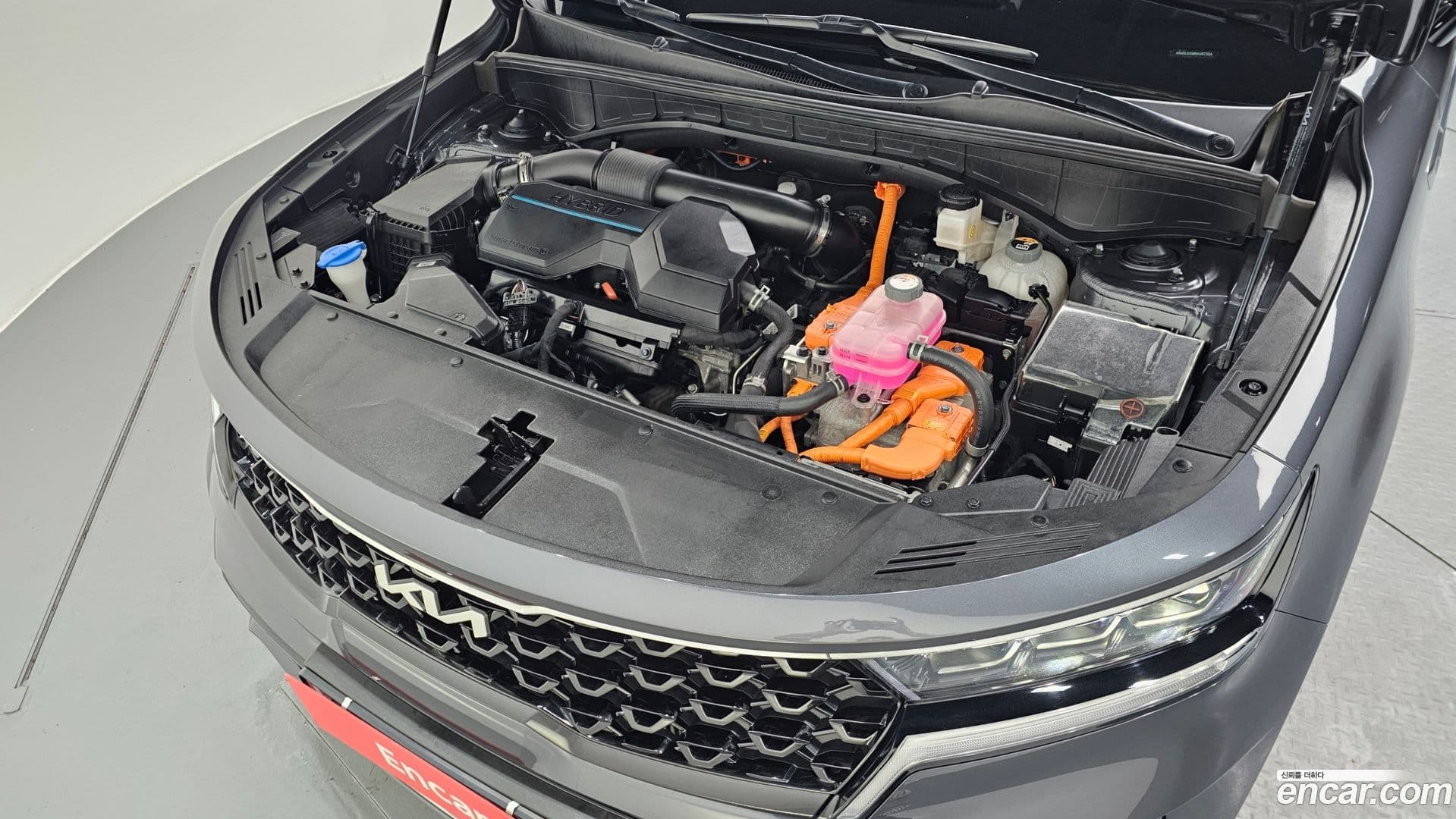 Main__Slider__Photo:Sorento Kia 2022.1-5