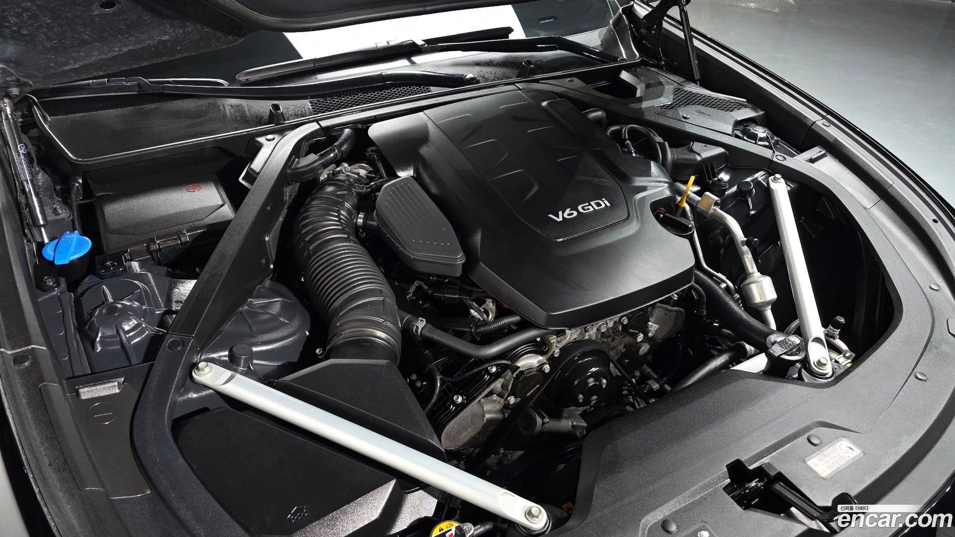 Main__Slider__Photo:K9 Kia 2023.5-5