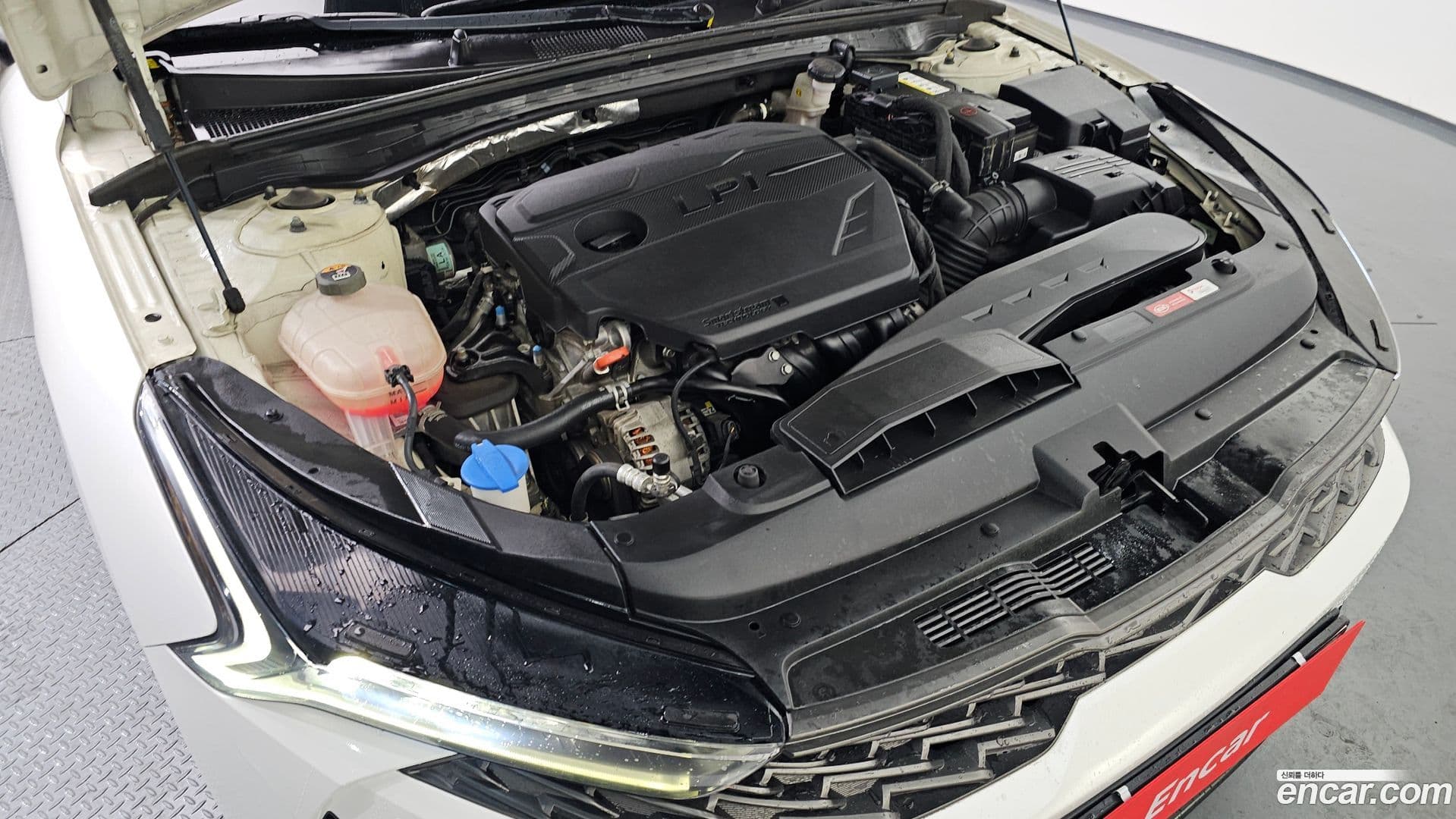 Main__Slider__Photo:K5 Kia 2021.0-5