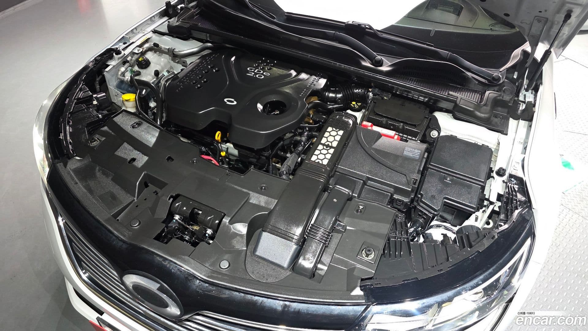 Main__Slider__Photo:SM6 Renault-KoreaSamsung 2017.11-5