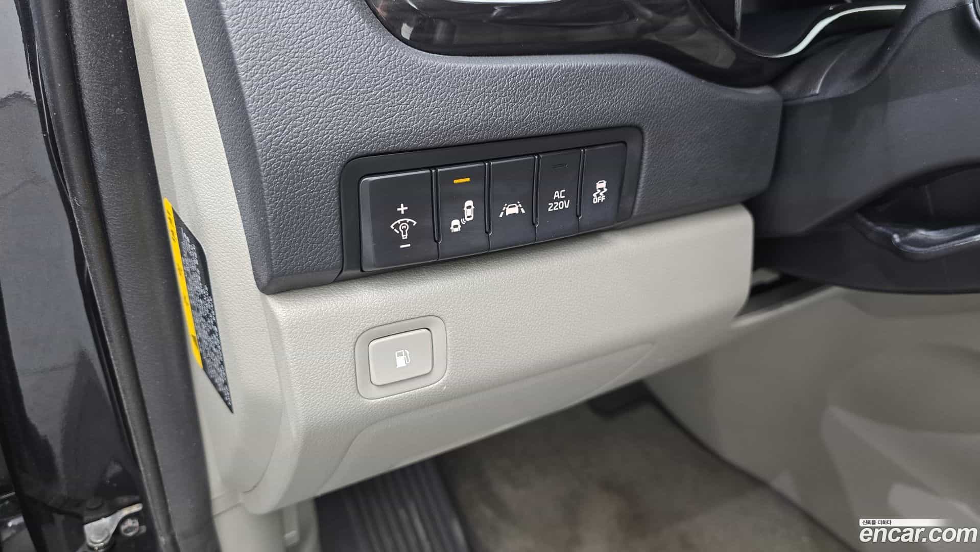 Canival Kia 2019.11-OPTION-019