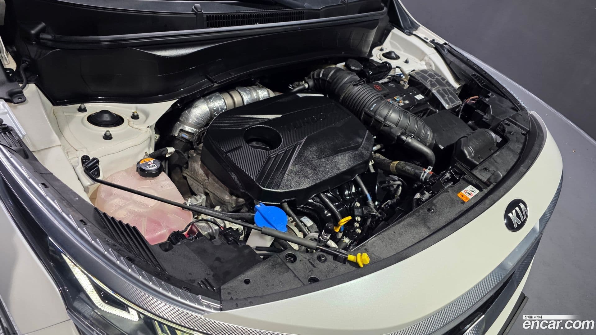 Main__Slider__Photo:Seltos Kia 2021.3-5