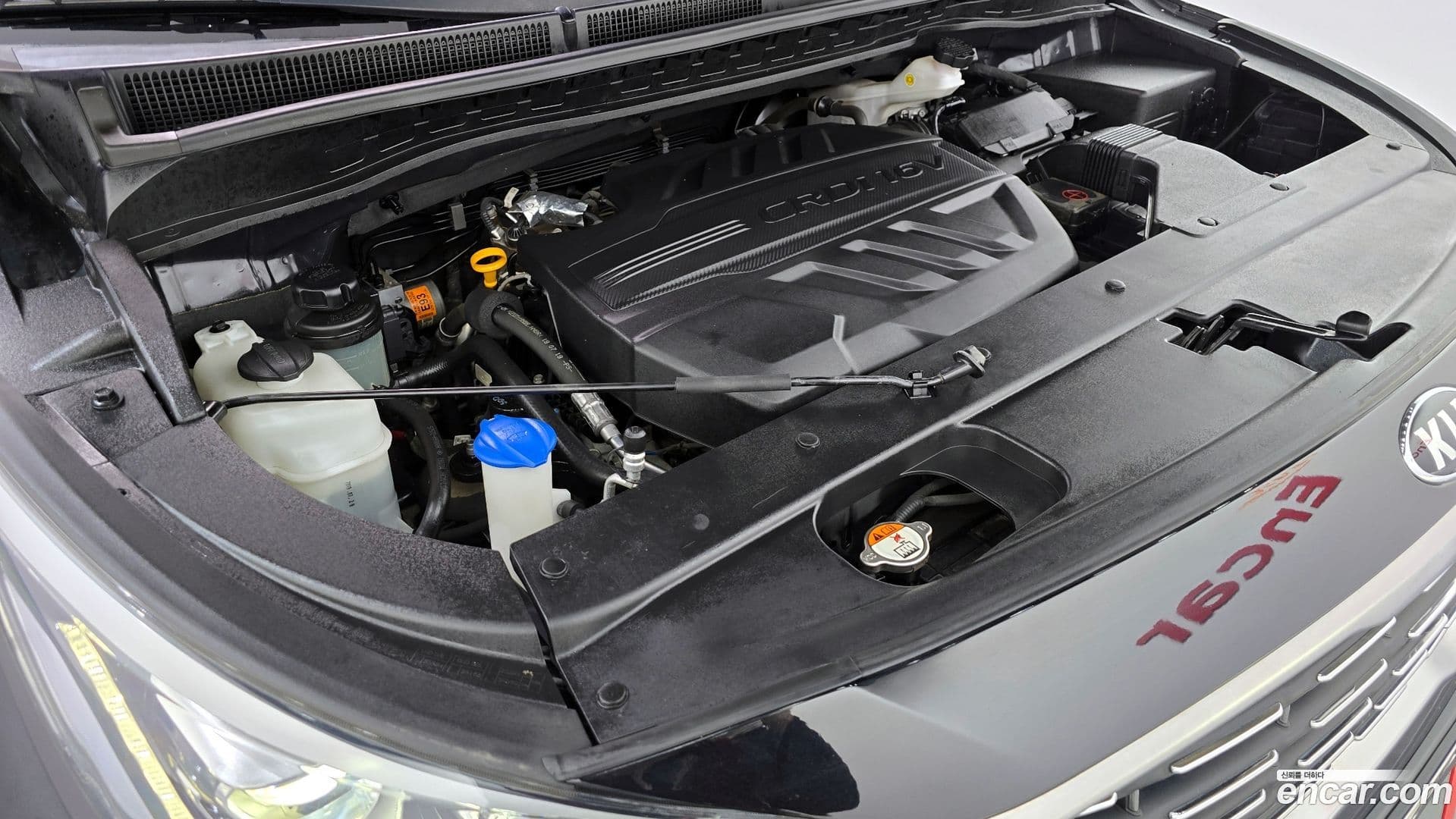 Main__Slider__Photo:Canival Kia 2019.7-5