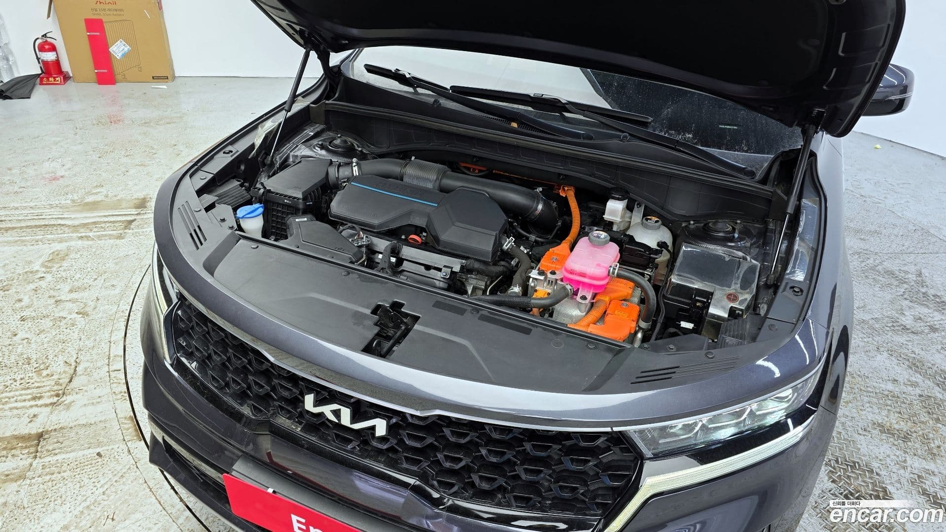 Main__Slider__Photo:Sorento Kia 2022.3-5