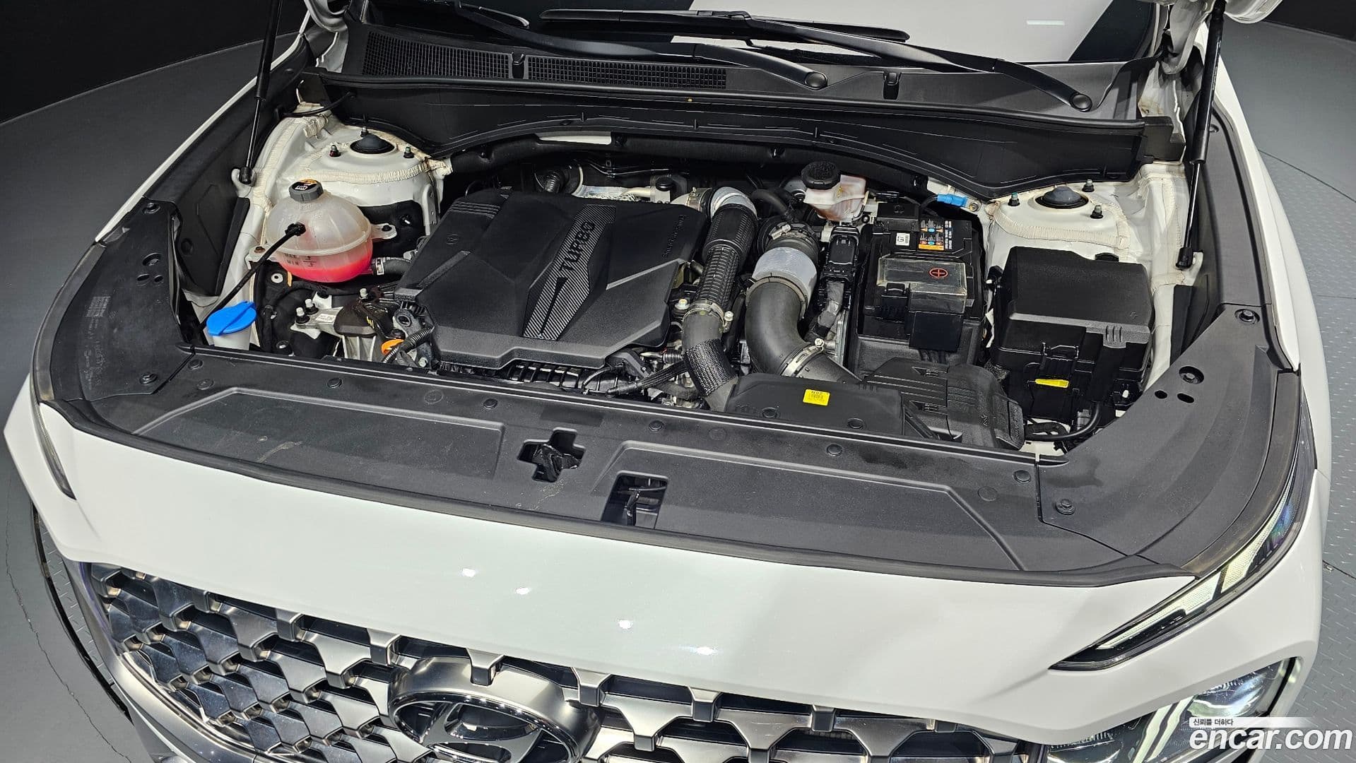 Main__Slider__Photo:Santafe Hyundai 2022.11-5