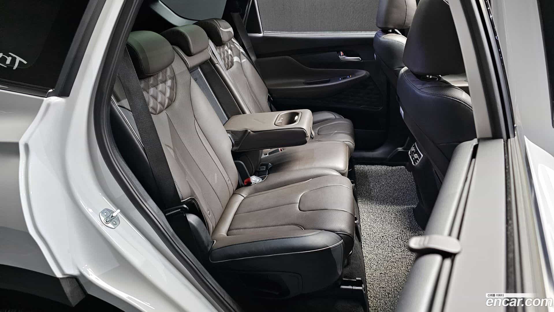 Santafe Hyundai 2022.11-OPTION-016