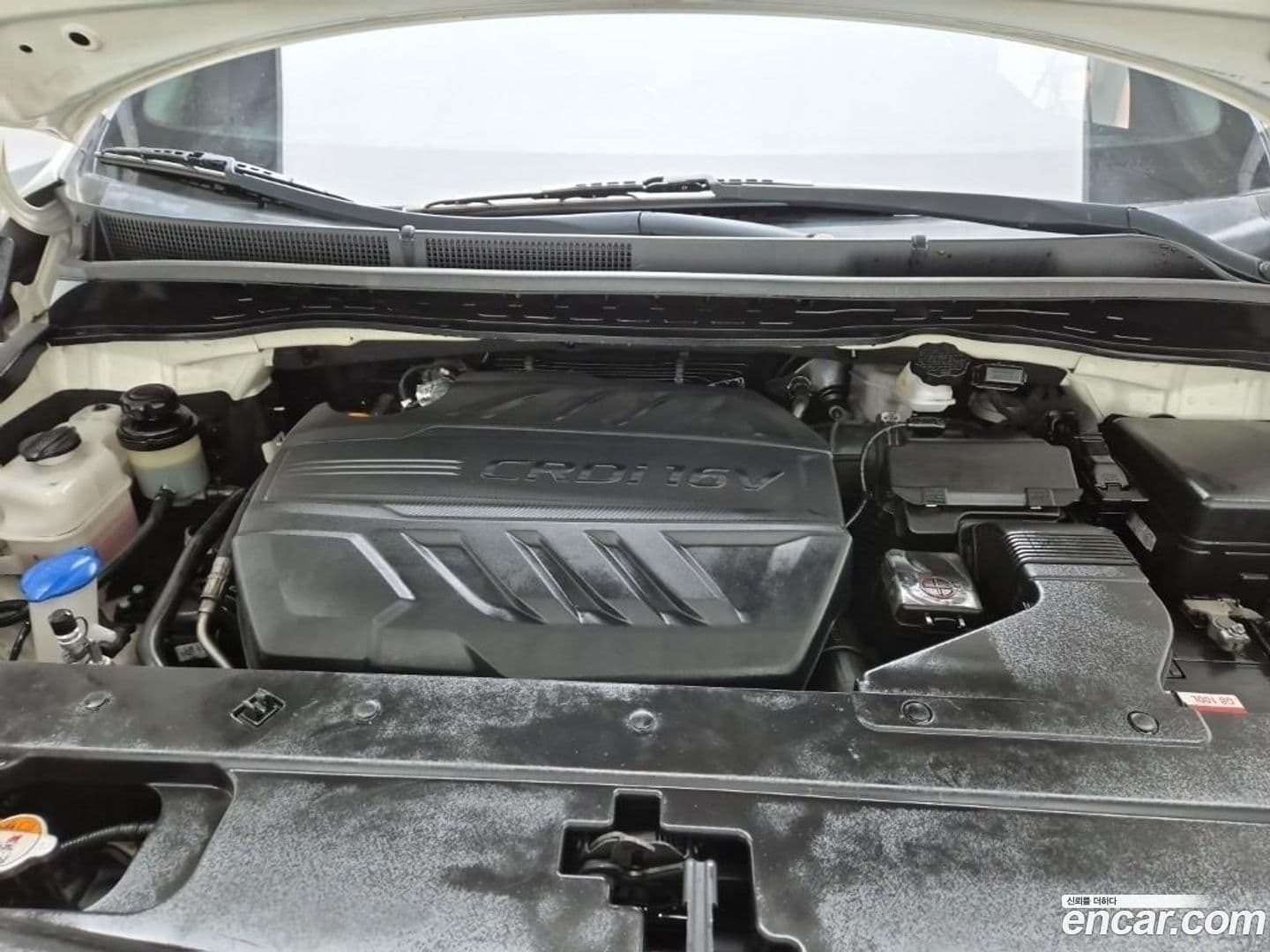 Main__Slider__Photo:Canival Kia 2018.9-4