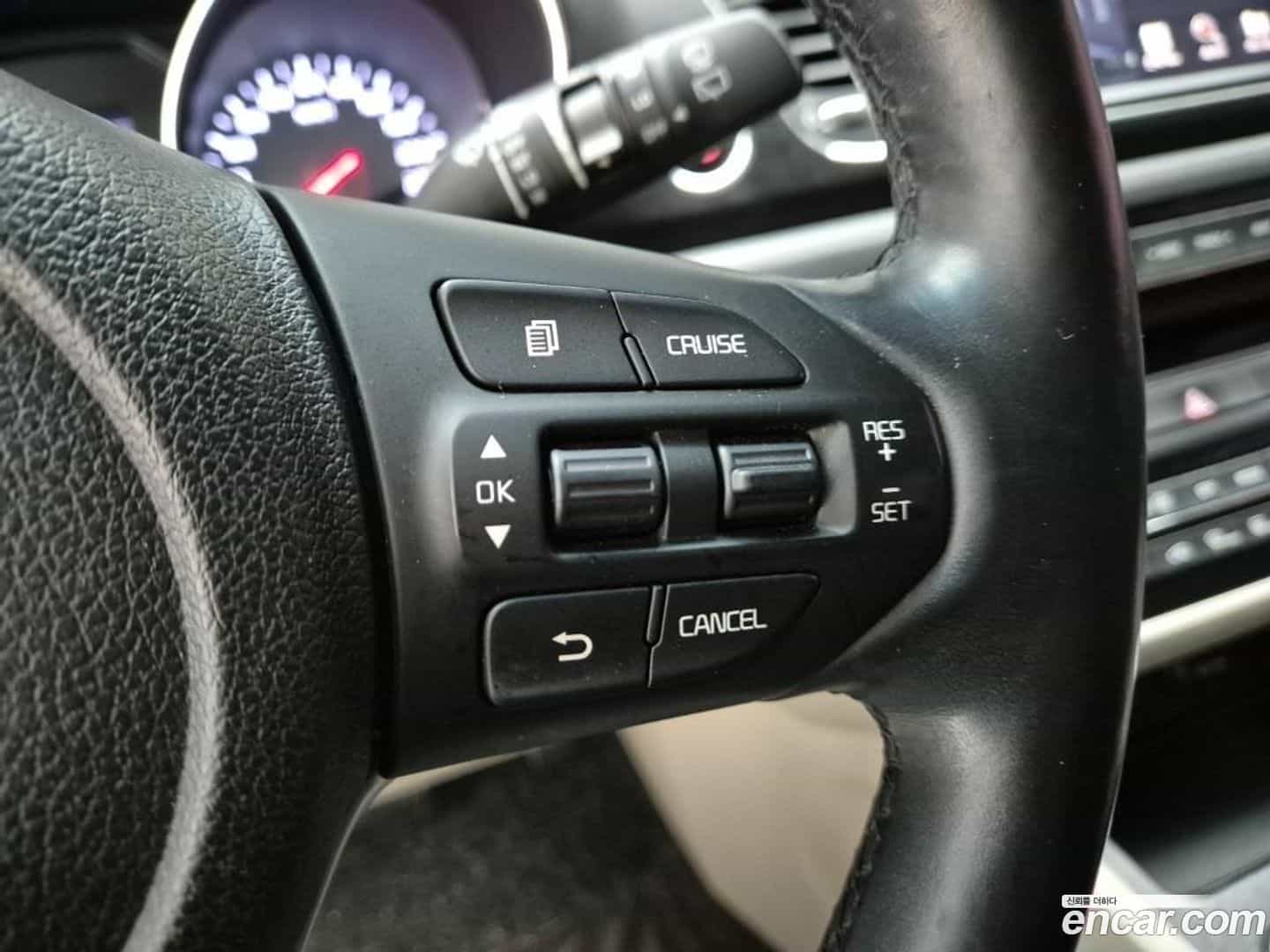 Canival Kia 2018.9-OPTION-019