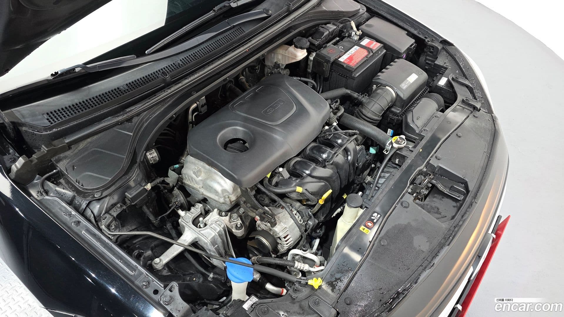 Main__Slider__Photo:AVANTE Hyundai 2017.6-5