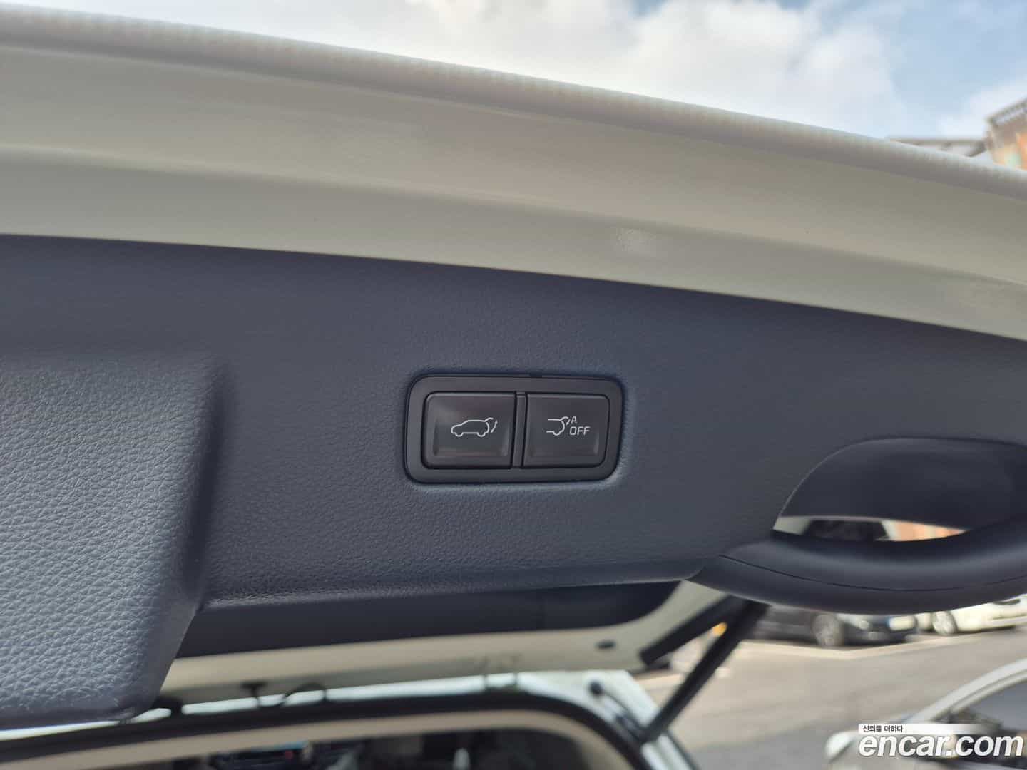 Canival Kia 2024.5-OPTION-023