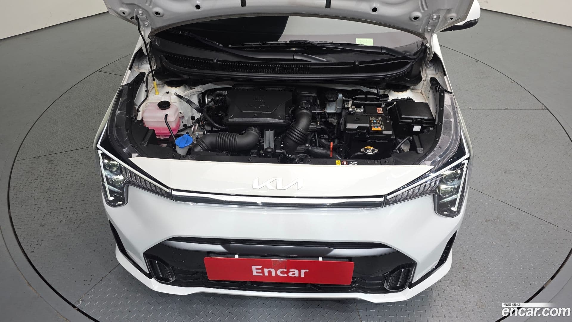 Main__Slider__Photo:morning Kia 2024.1-5