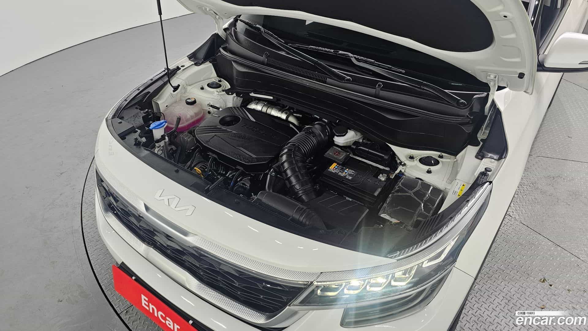 Seltos Kia 2022.6-INNER-006