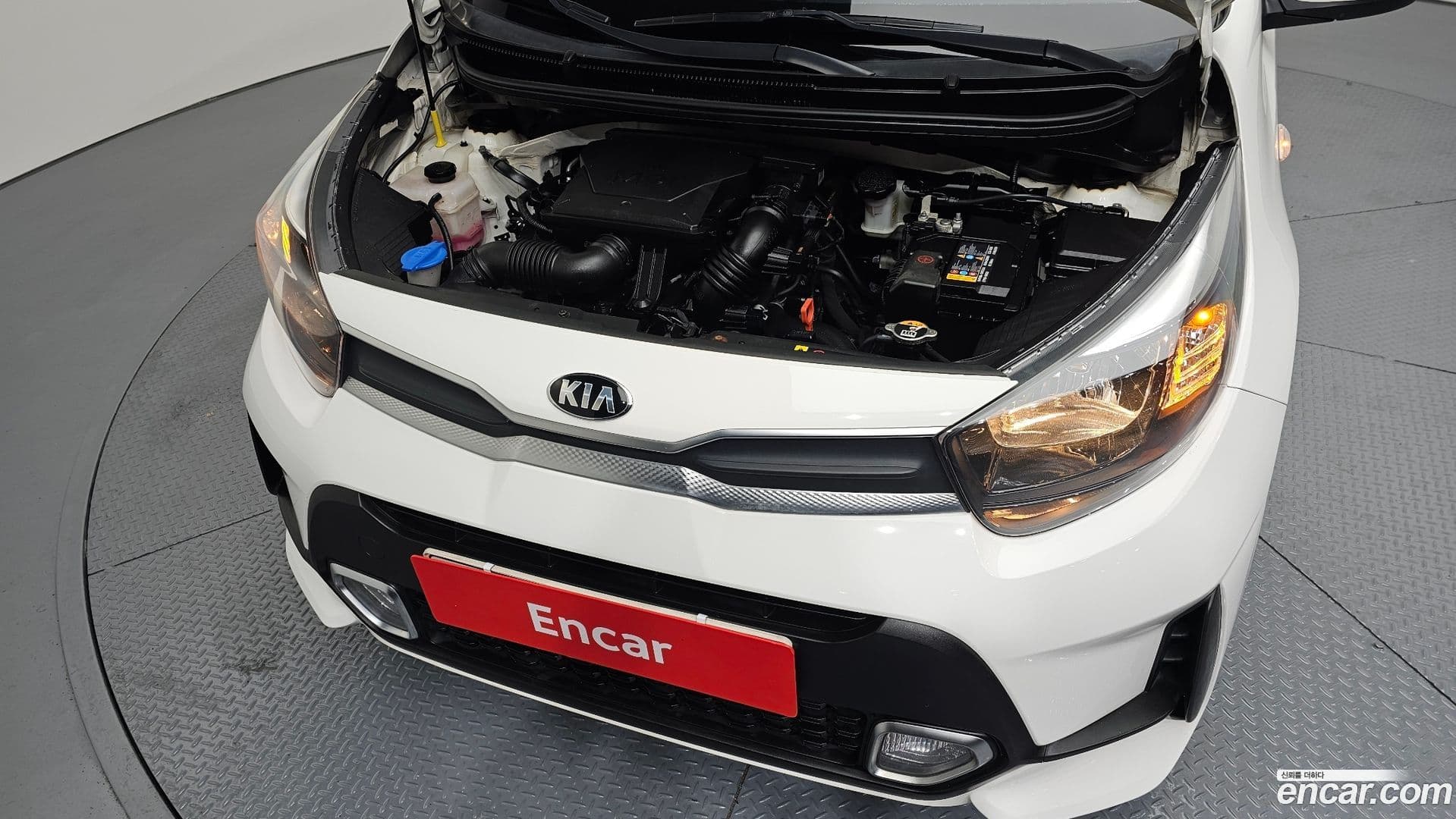 Main__Slider__Photo:morning Kia 2021.5-5