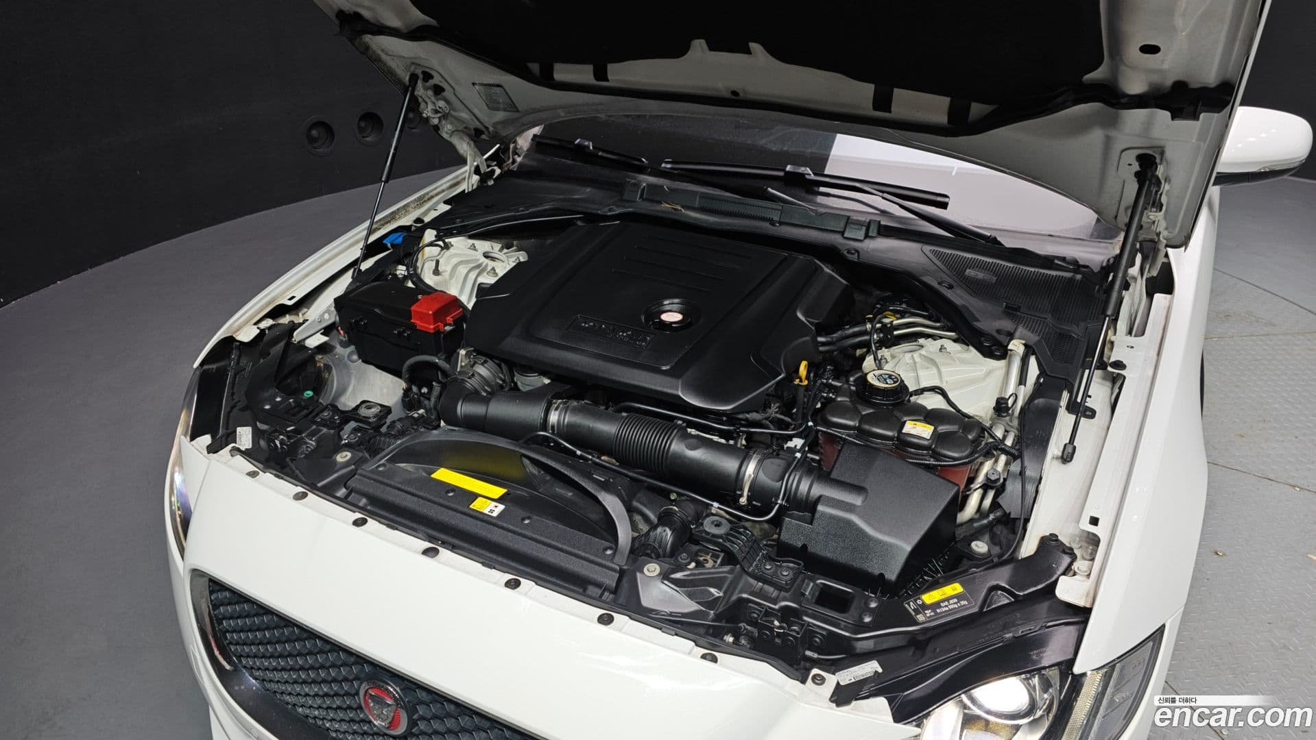 Main__Slider__Photo:XF Jaguar 2018.1-5